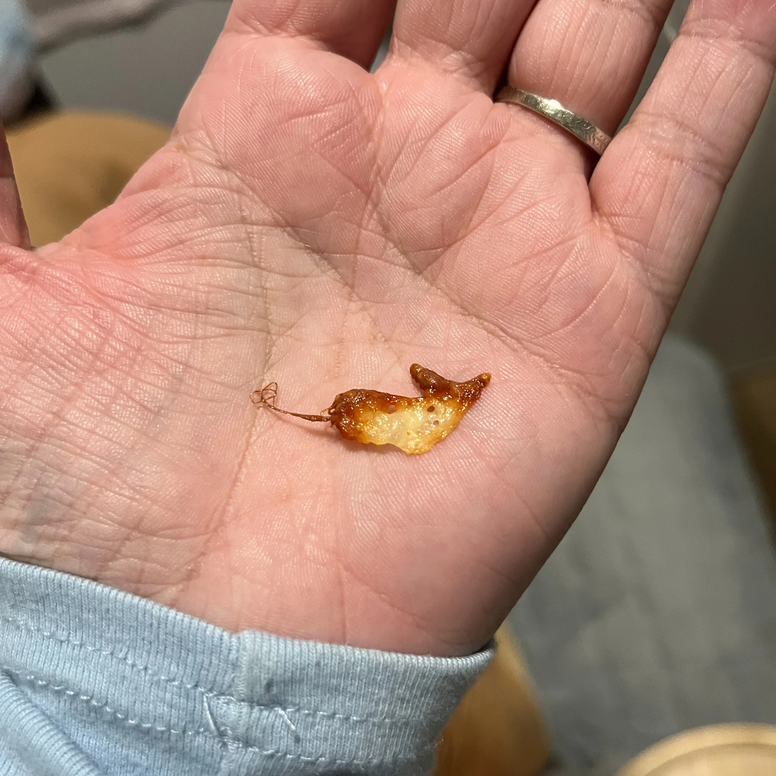 Oh nothing, just a piece of melted cheese shaped like a mouse.

#Whimsy #TheCheeseGotTheMouse (that one was coined by my husband)