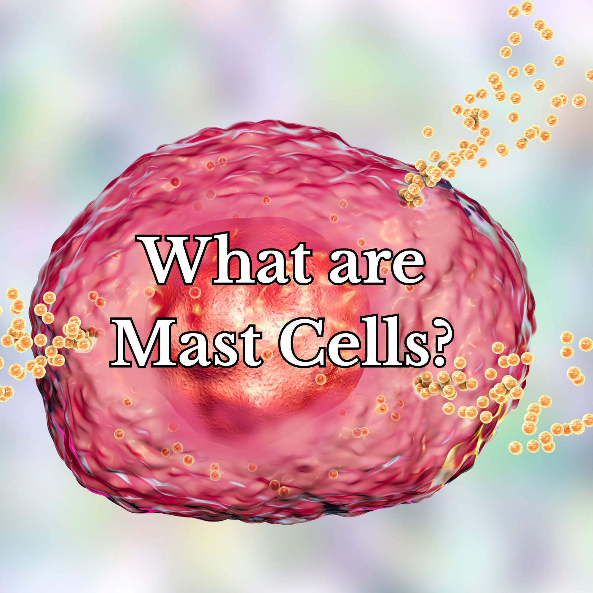 What is a Mast Cell Disorder?
