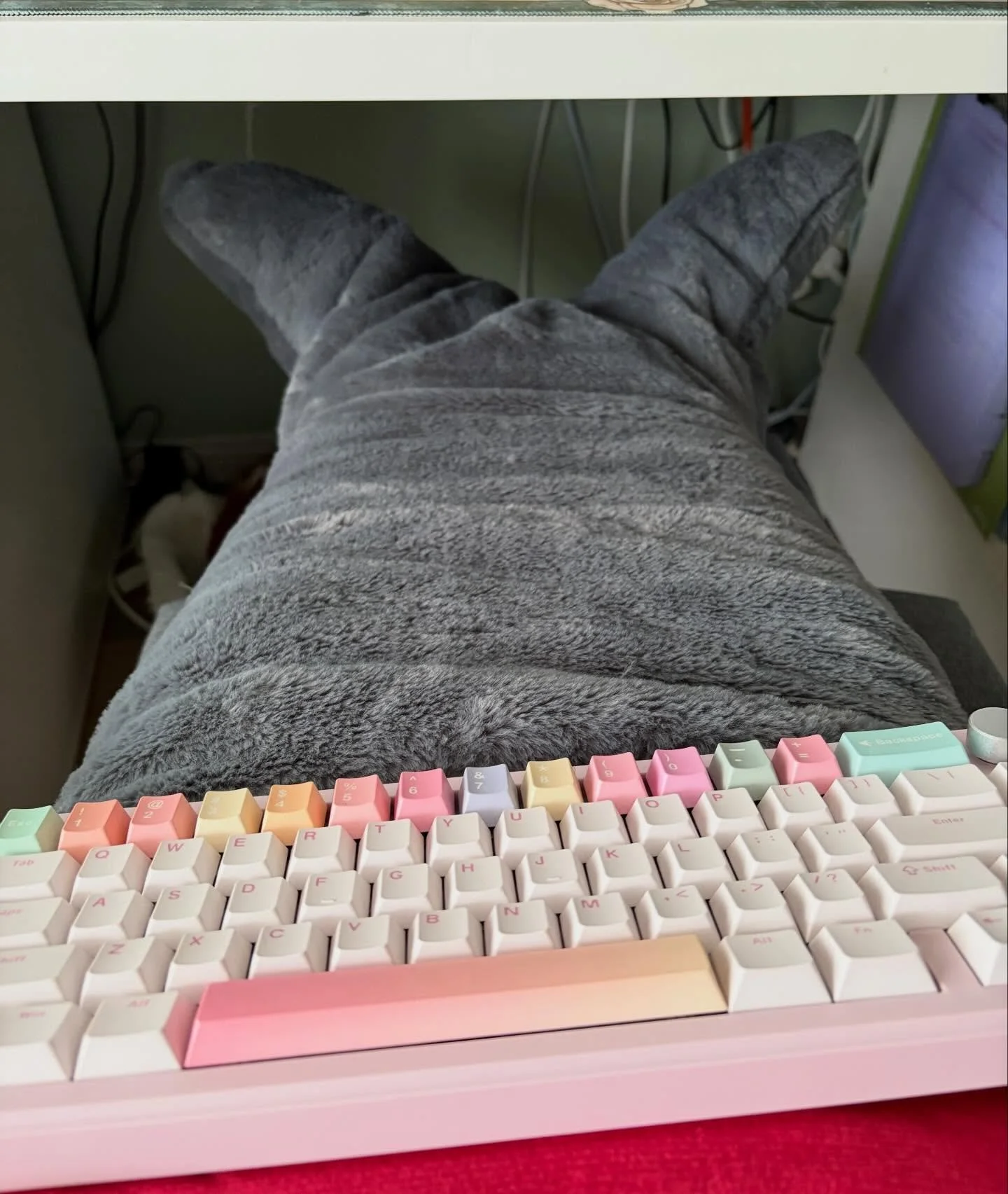 Next YouTube video is now up, talking about AuDHD from the inside. Achieved with the power of my favourite keyboard and my shark tail, because of the aforementioned AuDHD 😂

#Autism #ADHD #AuDHD #SharkTailFortheWin @yunzii_keyboard B68 with cocoa cr