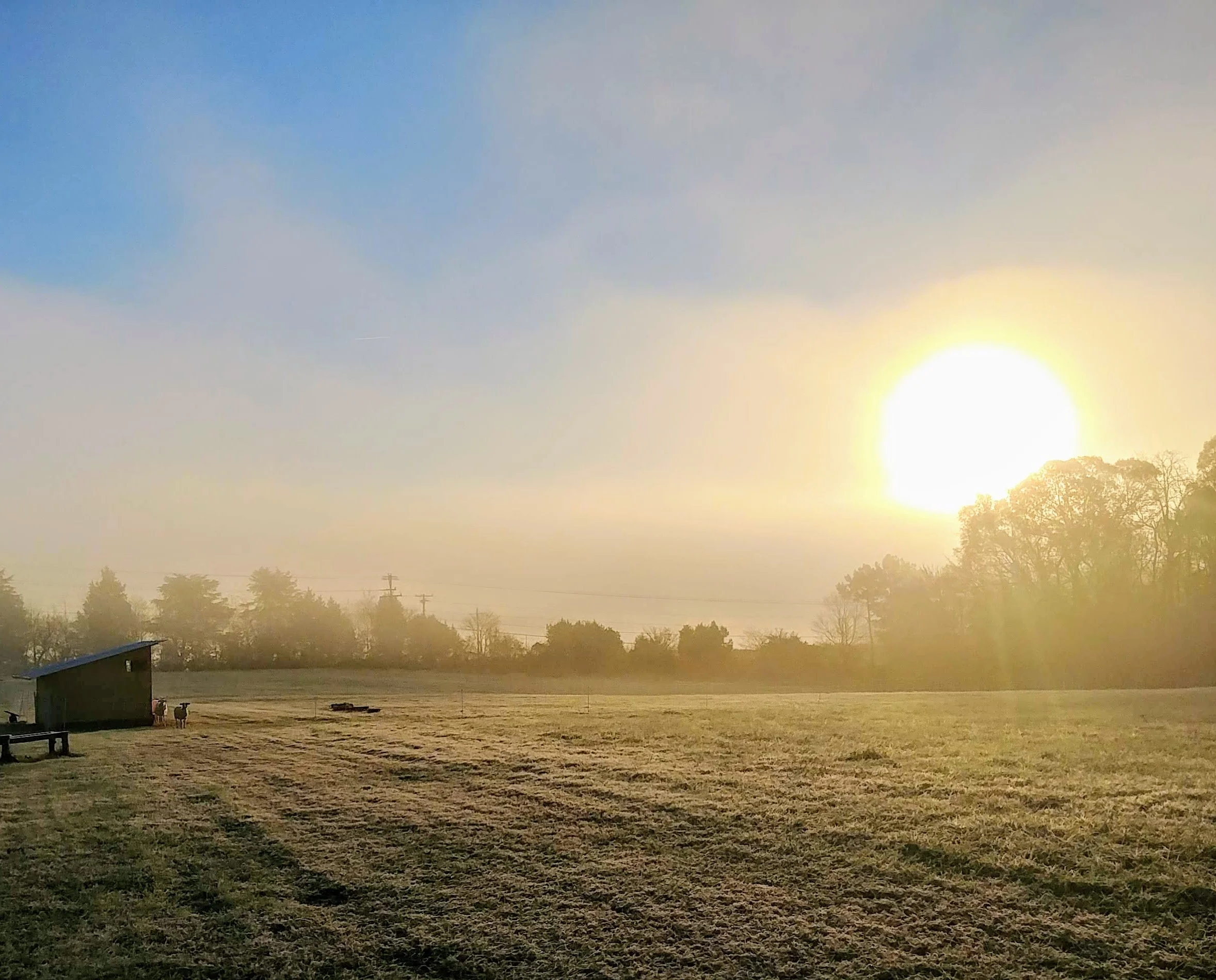 1121180739a_HDR.jpg