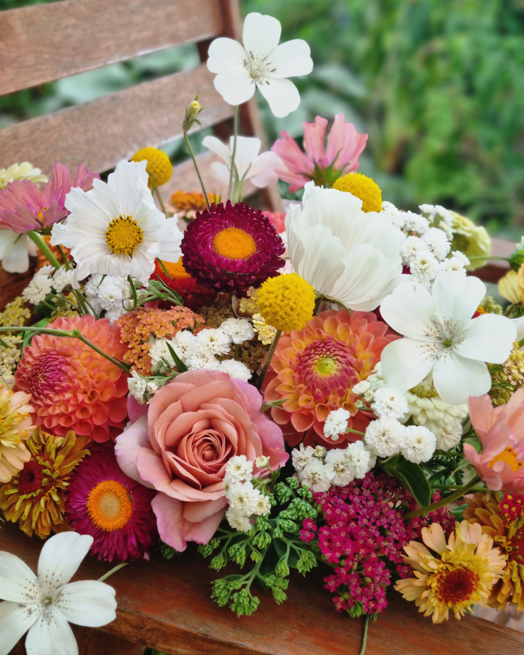 Untitled design (2).png