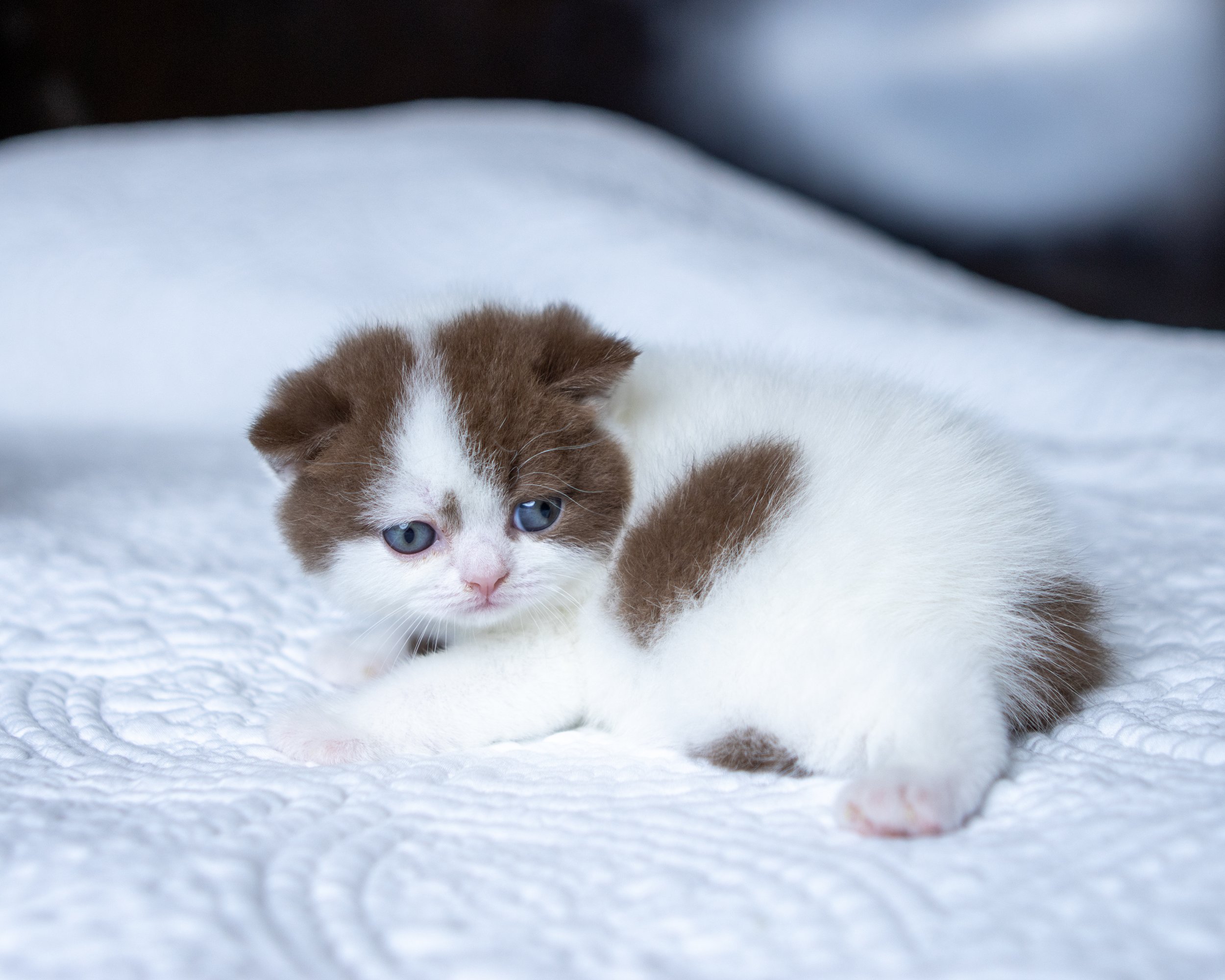 litter J -23-June-25-21.jpg