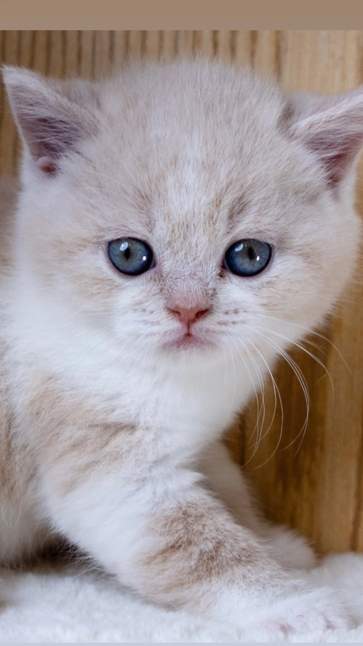 5A324C64-E9DB-4862-9B80-8B63901ED63B 2.JPG