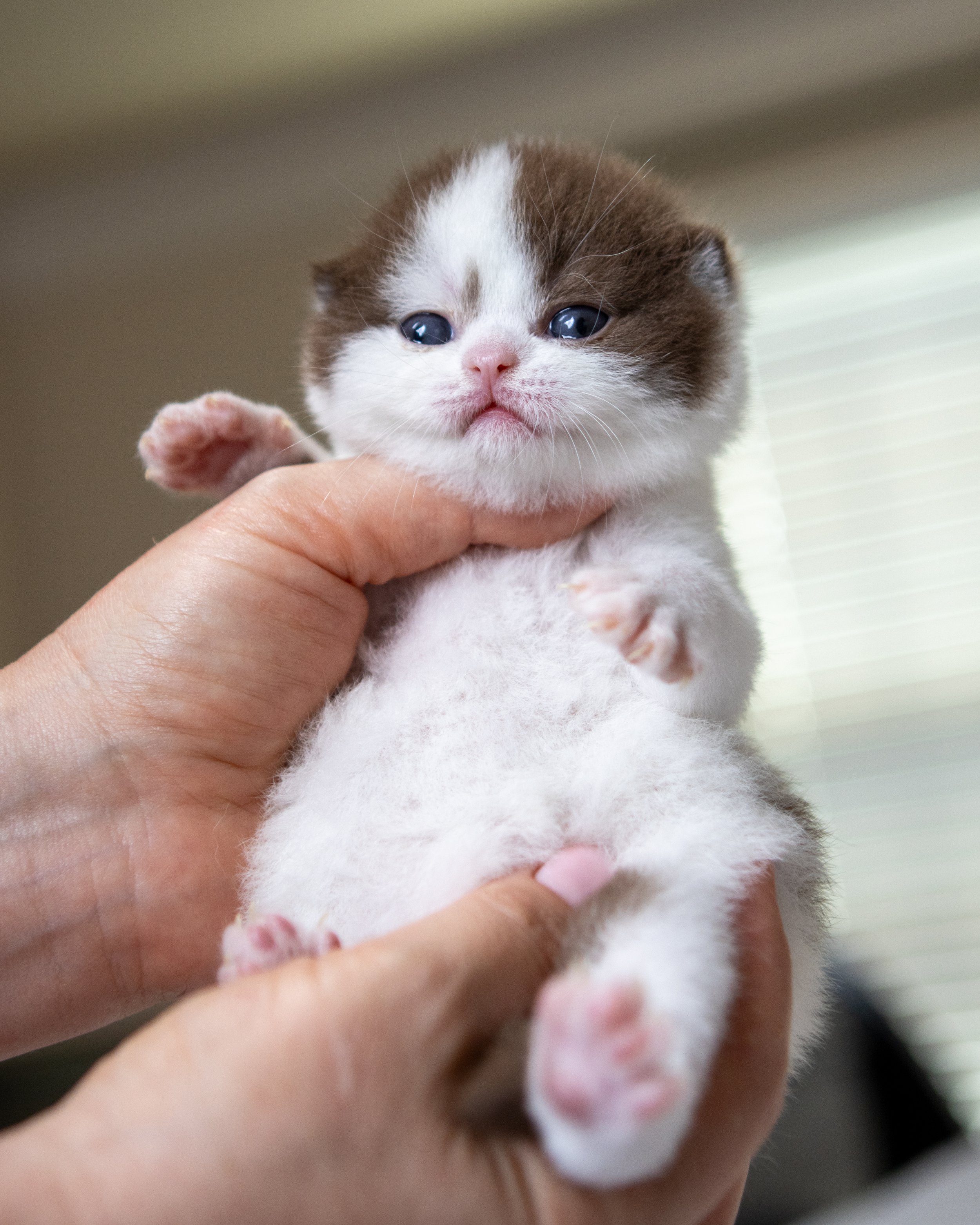 litter J-14-June-25-18.jpg