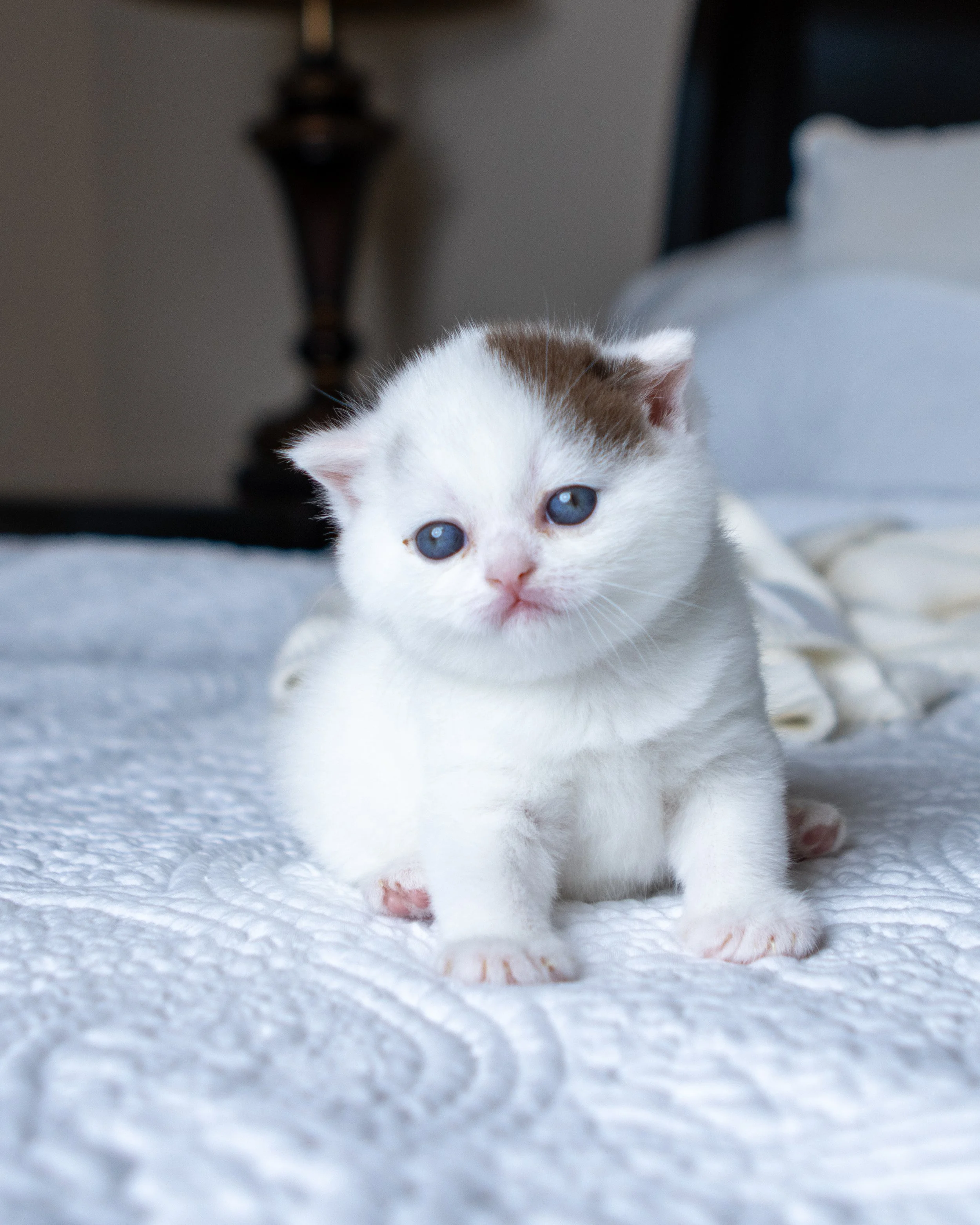 litter J -23-June-25-30.jpg