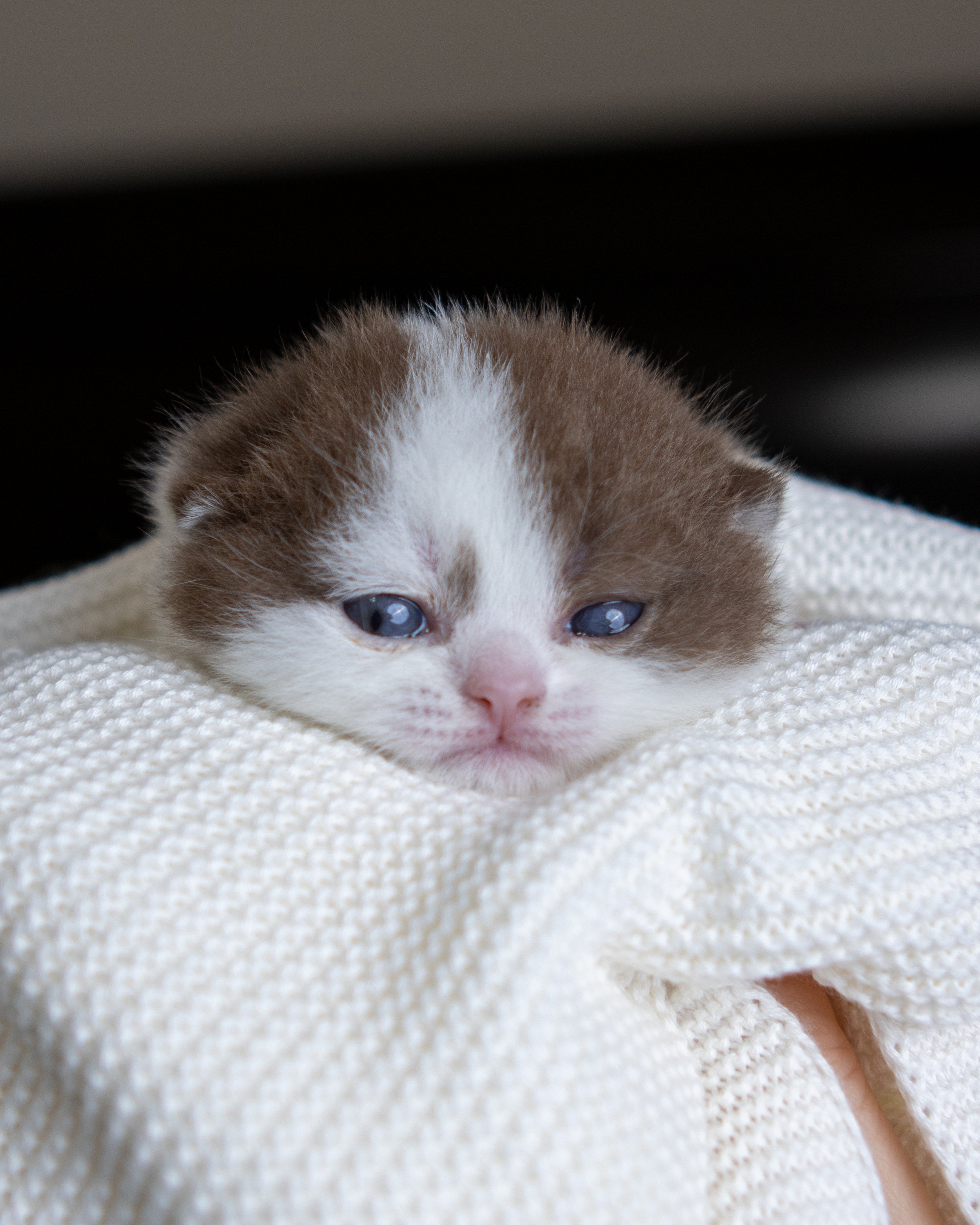 litter J-14-June-25-9.jpg