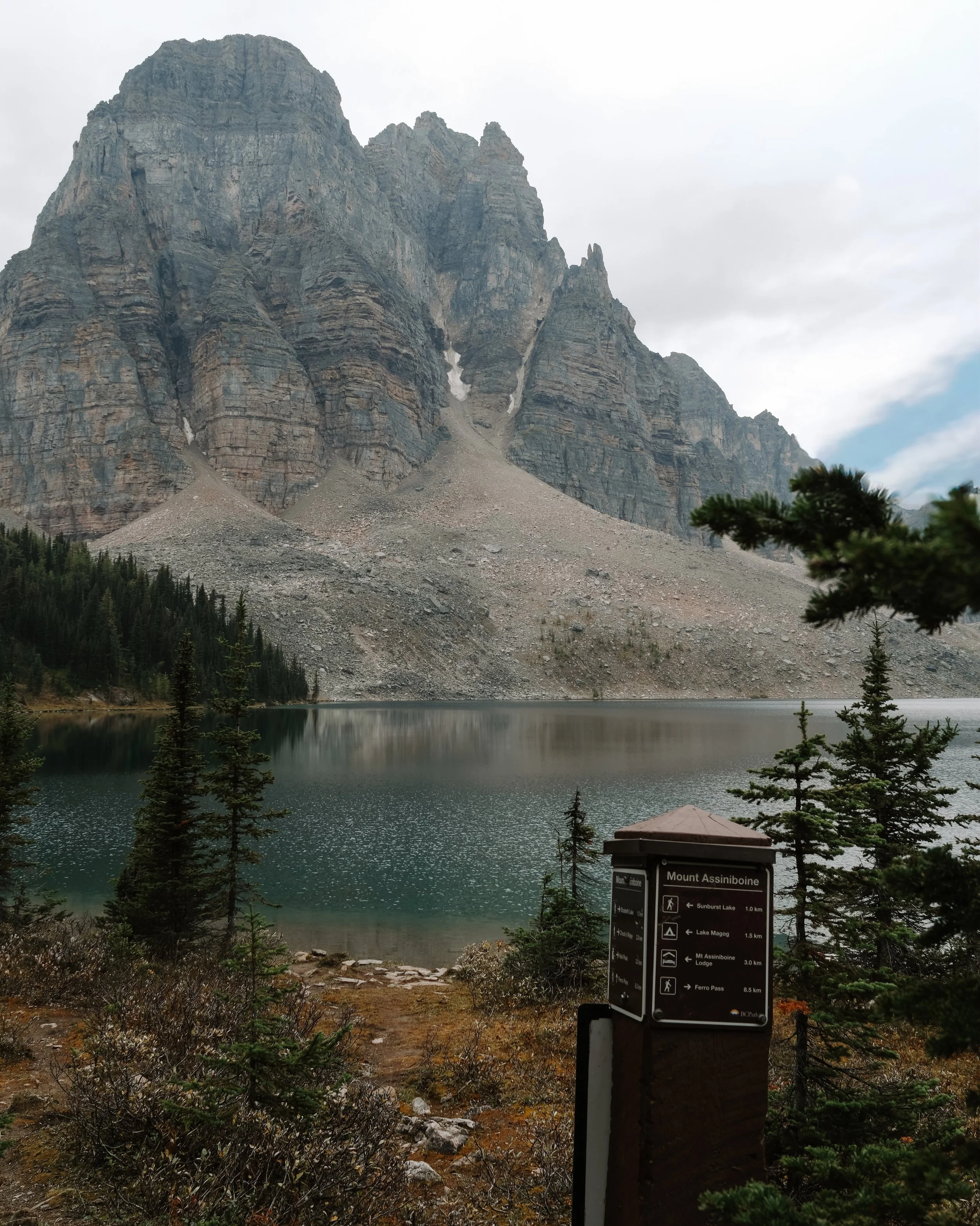 Mount Assiniboine - 266.jpeg