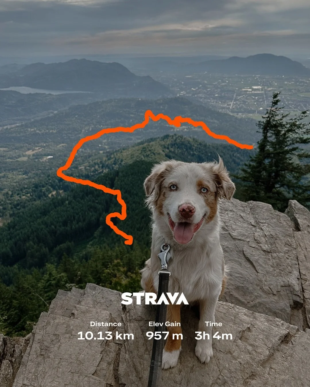 Elk Mountain, Chilliwack 🌄
A Chilliwack classic that never disappoints — Elk is one of those trails that somehow feels good in every season. Yesterday’s hike was a last-minute “say yes to adventure” kind of day, and I’m