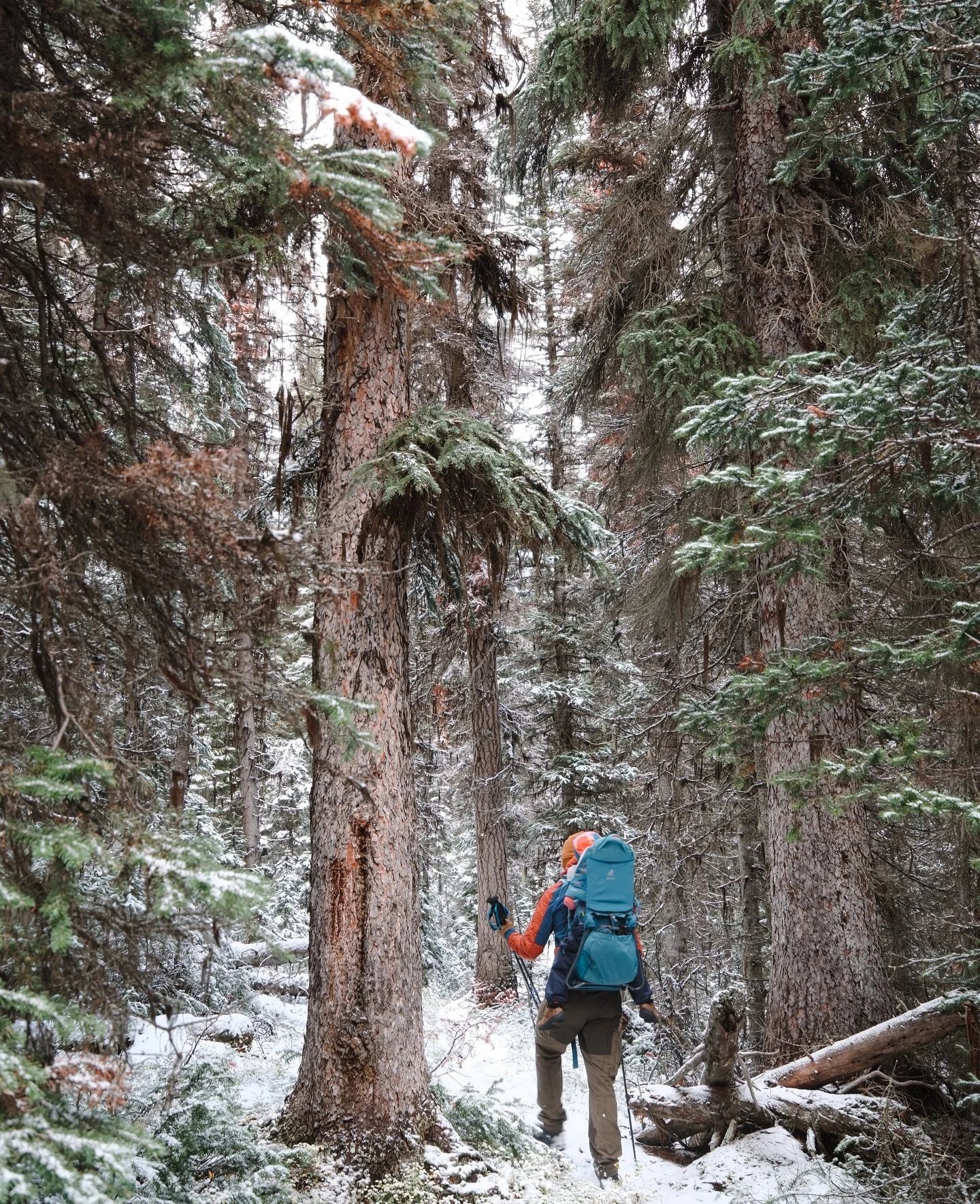 Winter trails are beautiful, but I won&rsquo;t lie &mdash; I&rsquo;m already dreaming of those big summer days where the light lasts forever. Until then&hellip; bundle up and get outside anyway. 🌲✨