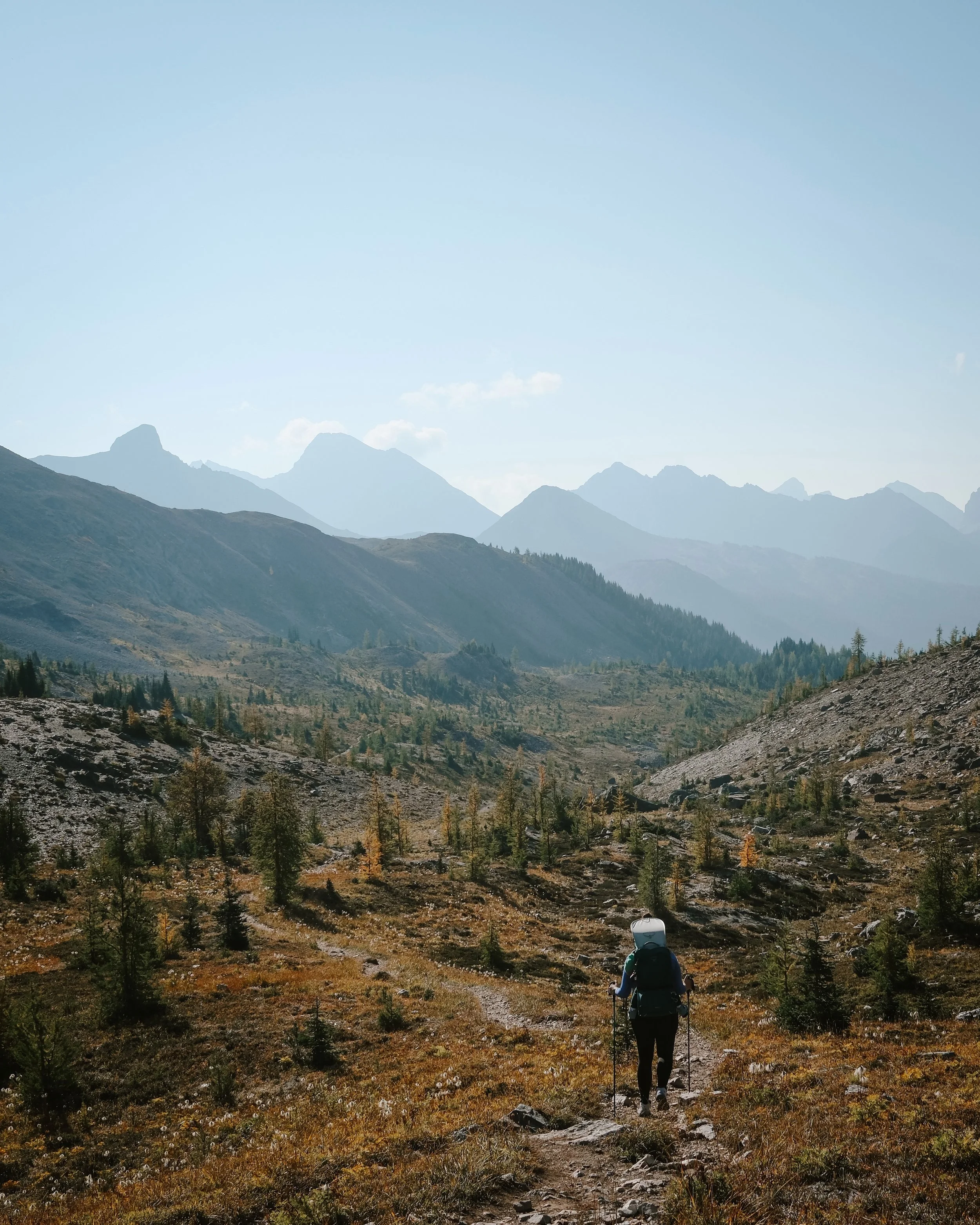 Mount Assiniboine - 724.jpeg