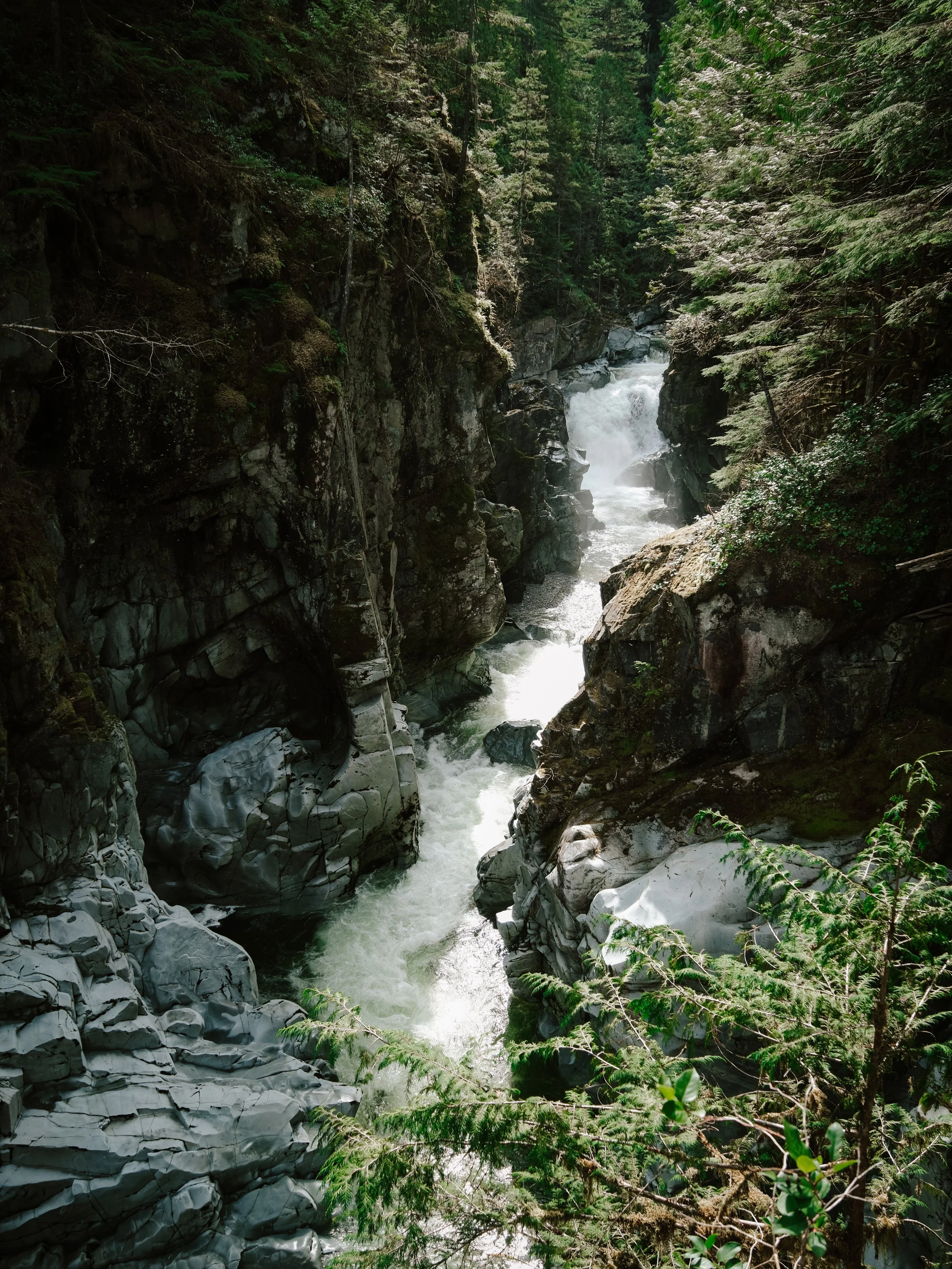 Squamish Edits - 63.jpeg