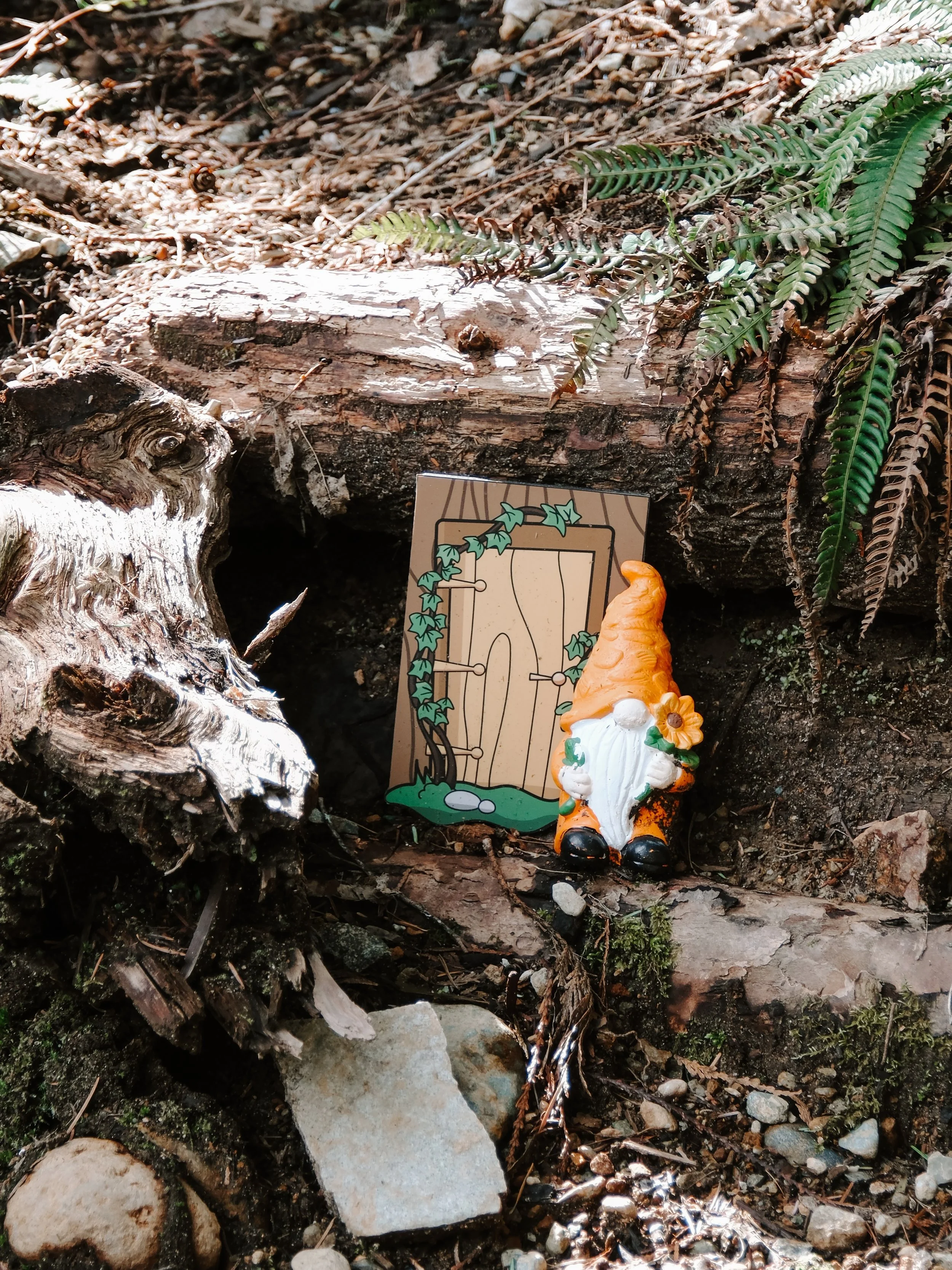 Squamish Edits - 66.jpeg