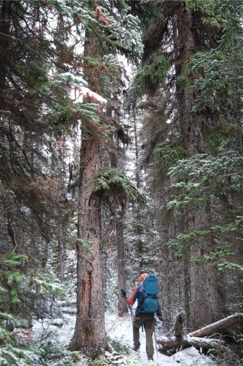 O'Hara Lake Lodge - 2024 -210 Large.jpeg