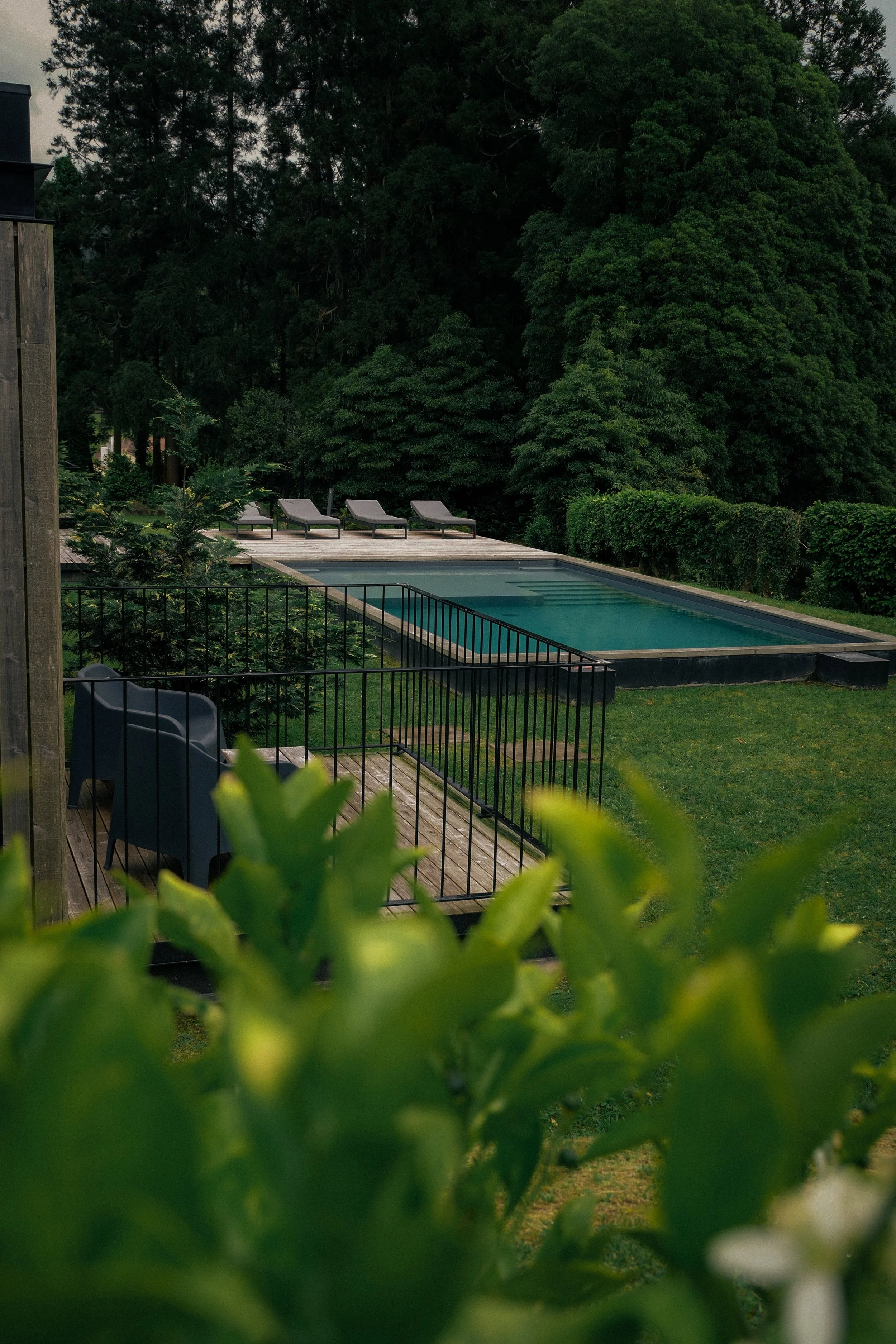 LandescapeEdits -36.jpg