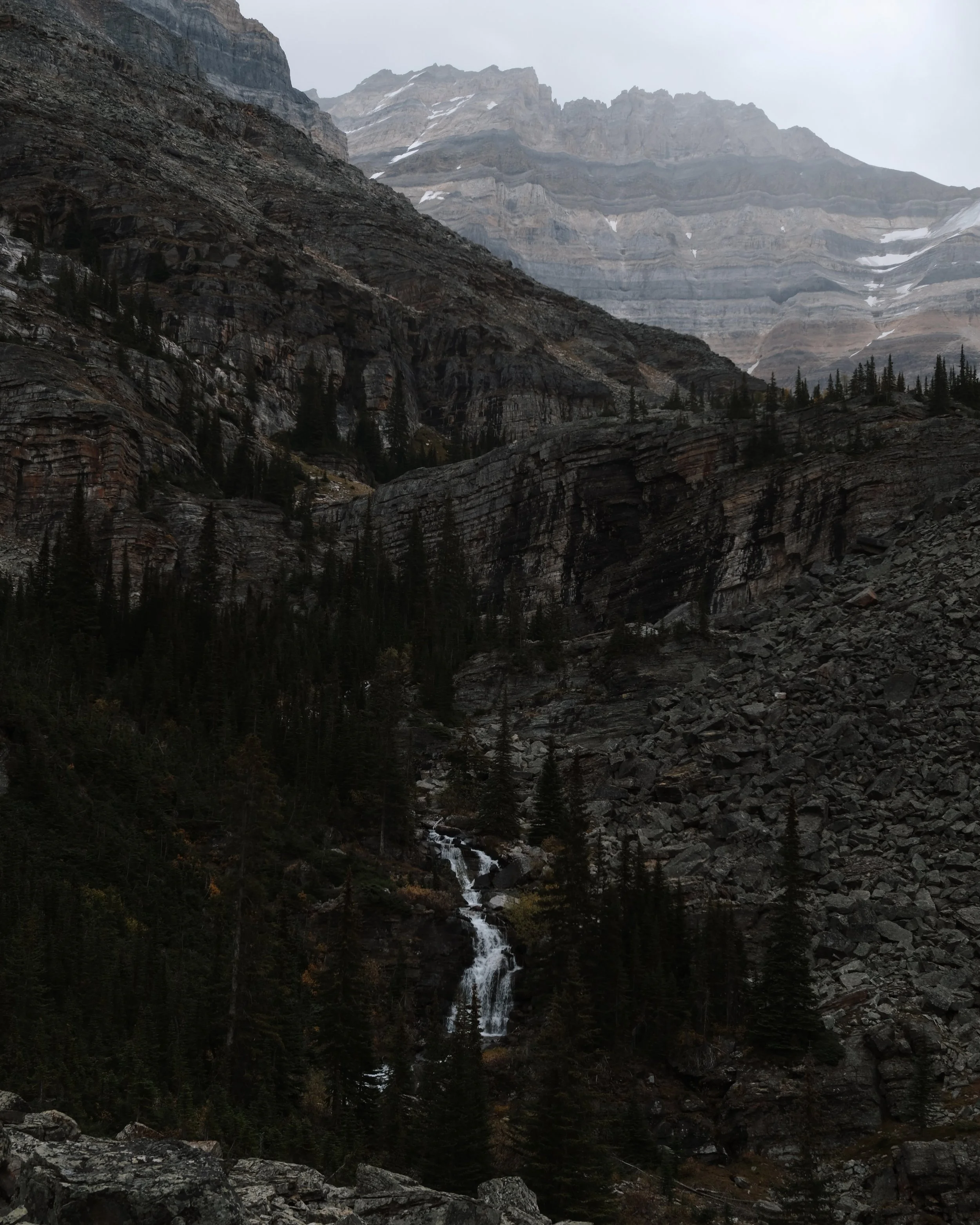 O'Hara 2025 - 92.jpeg