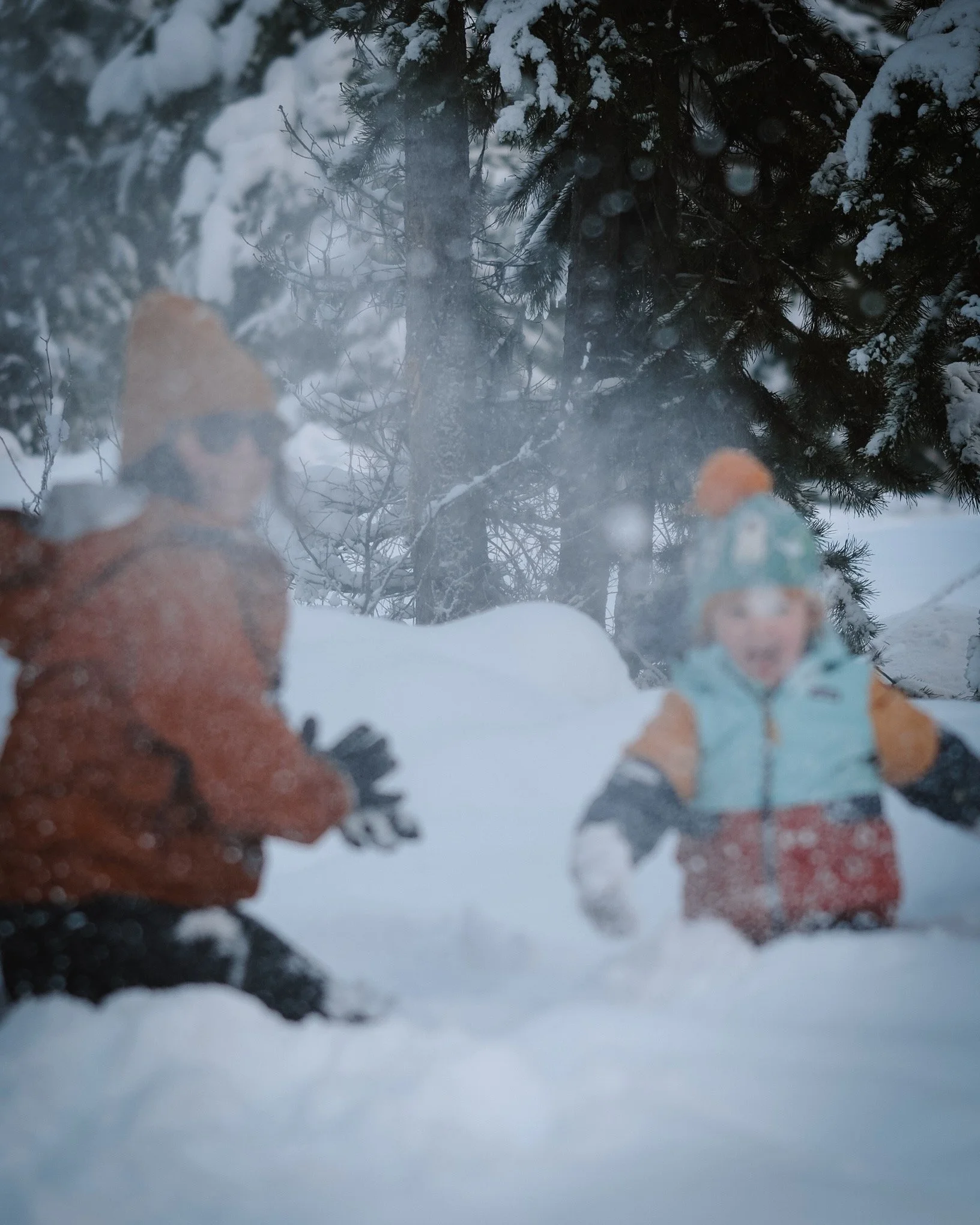 2025 - JAN - 364.jpeg