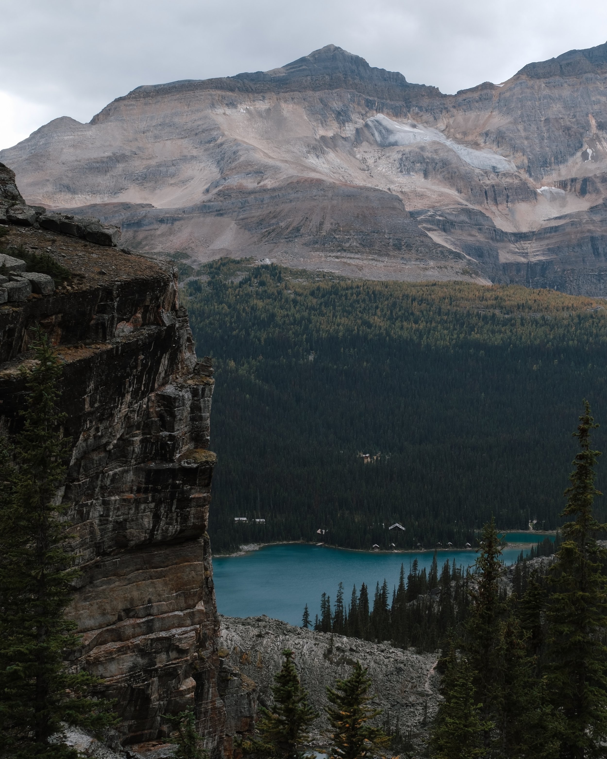 O'Hara 2025 - 332.jpeg