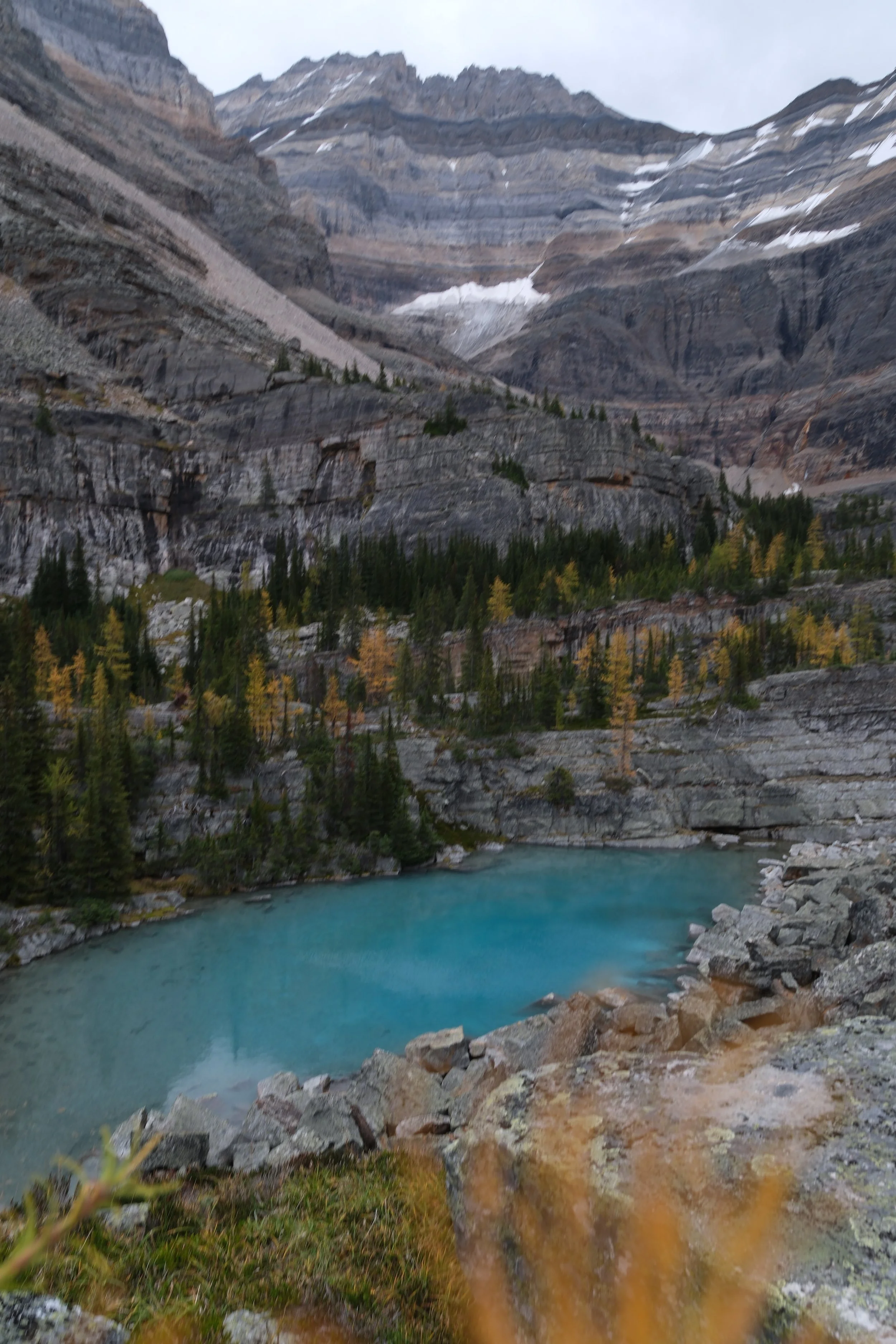 O'Hara 2025 - 317.jpeg