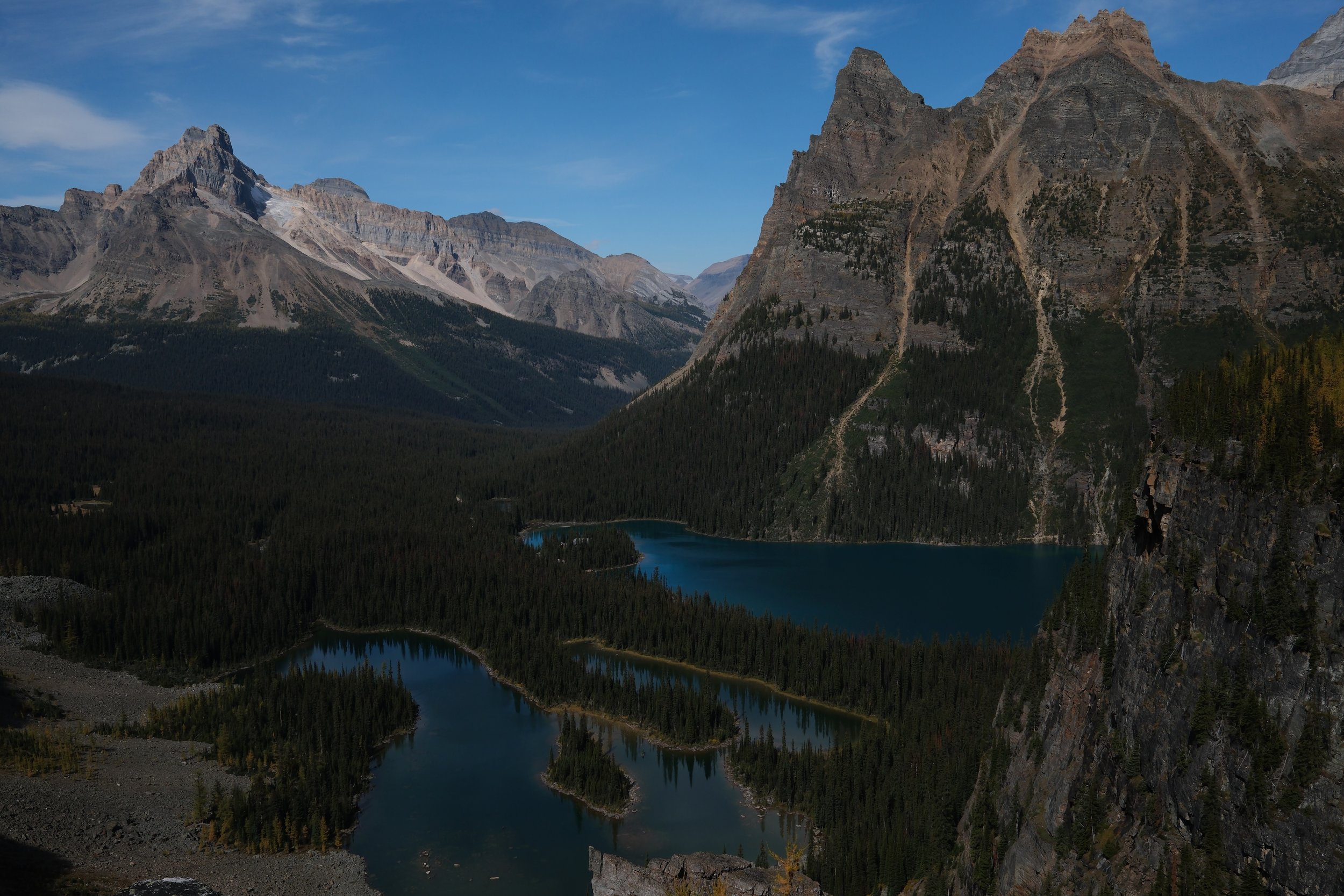 O'Hara 2025 - 615.jpeg