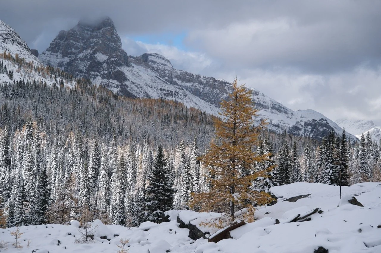 O'Hara Lake Lodge - 2024 -255 Large.jpeg