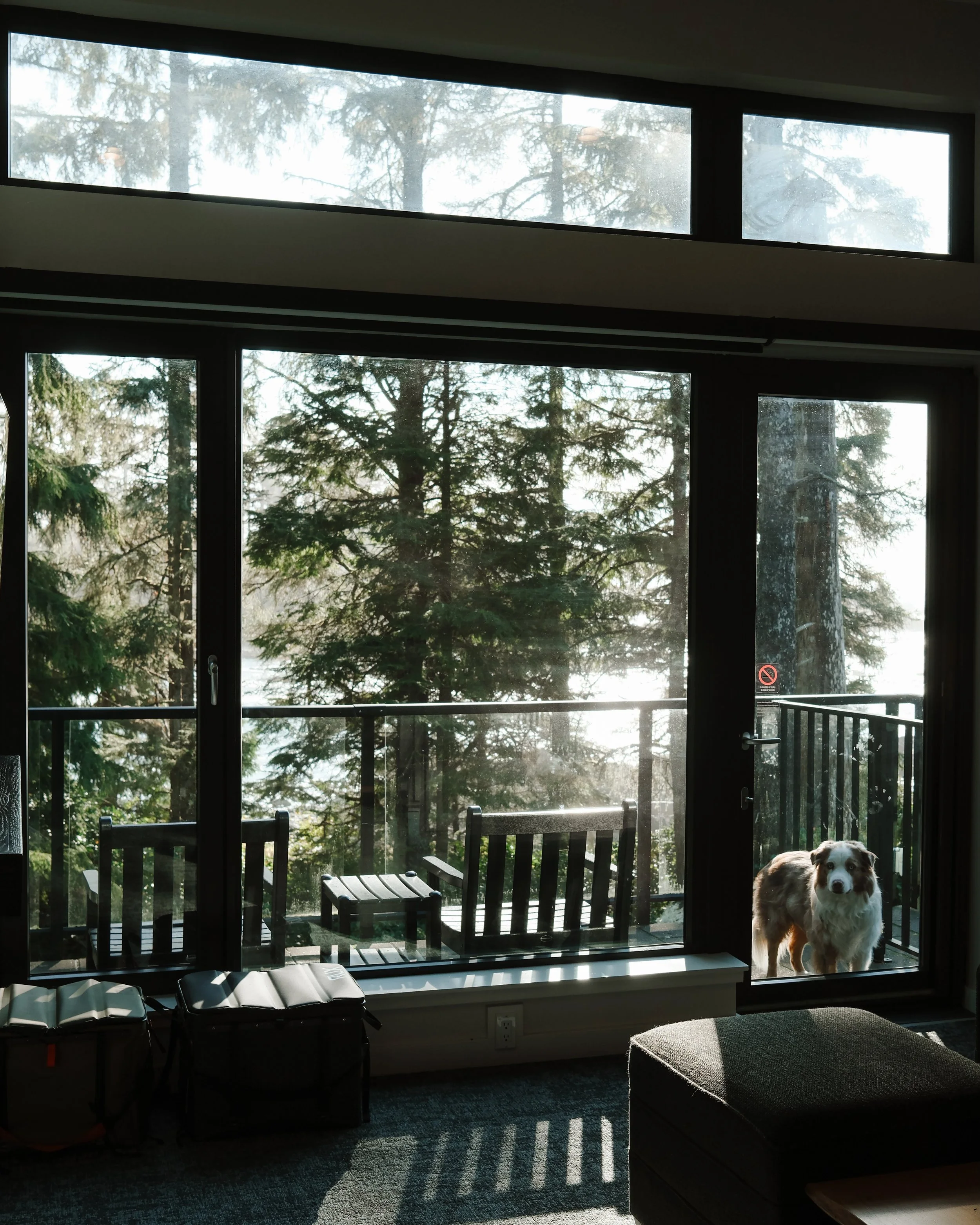 Black Rock Edits - 9.jpeg