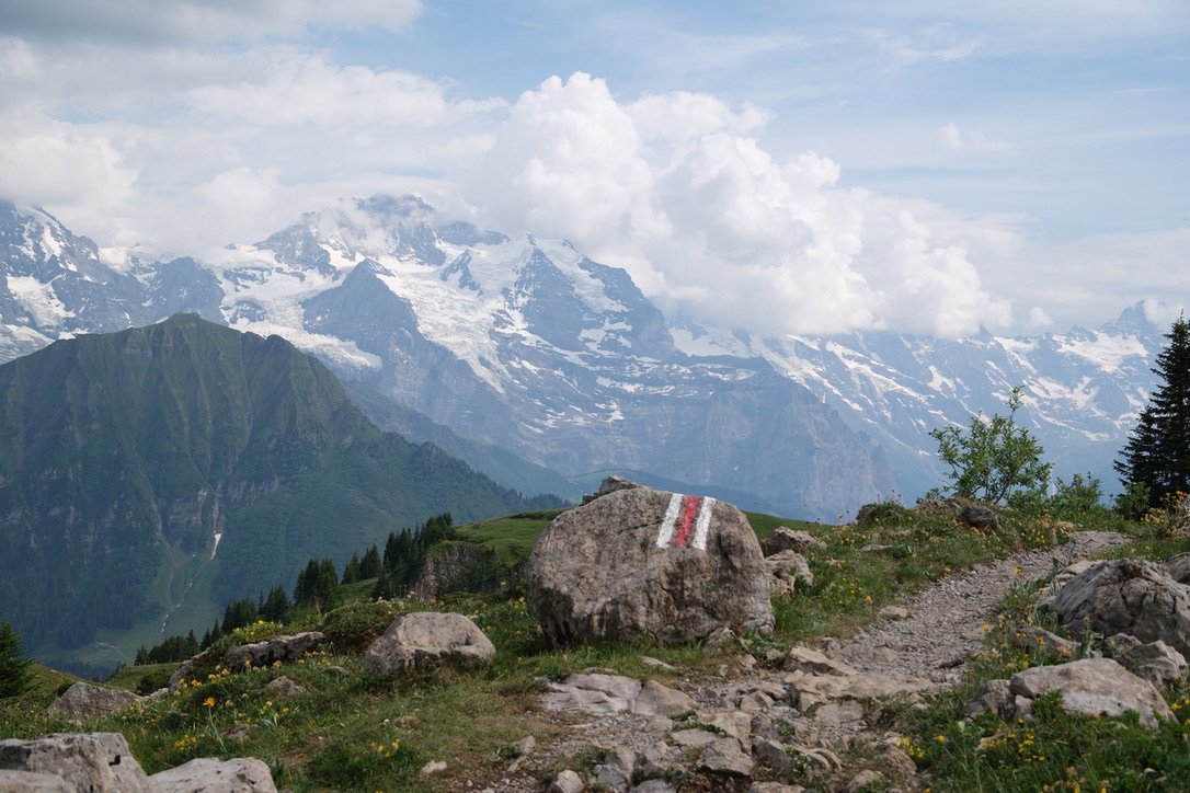 Is Schynige Platte Worth Visiting? My Favourite Surprise in Switzerland