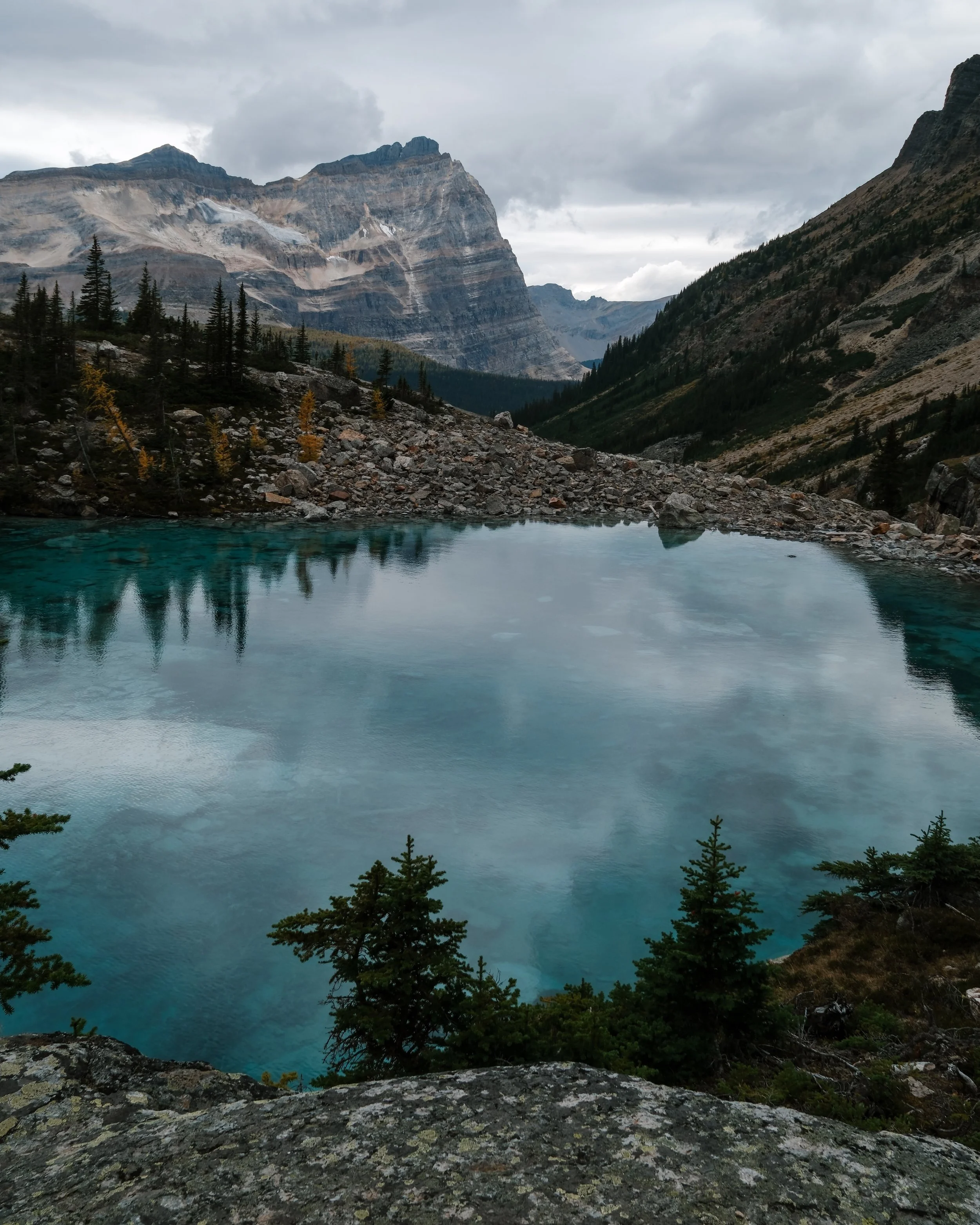 O'Hara 2025 - 132.jpeg