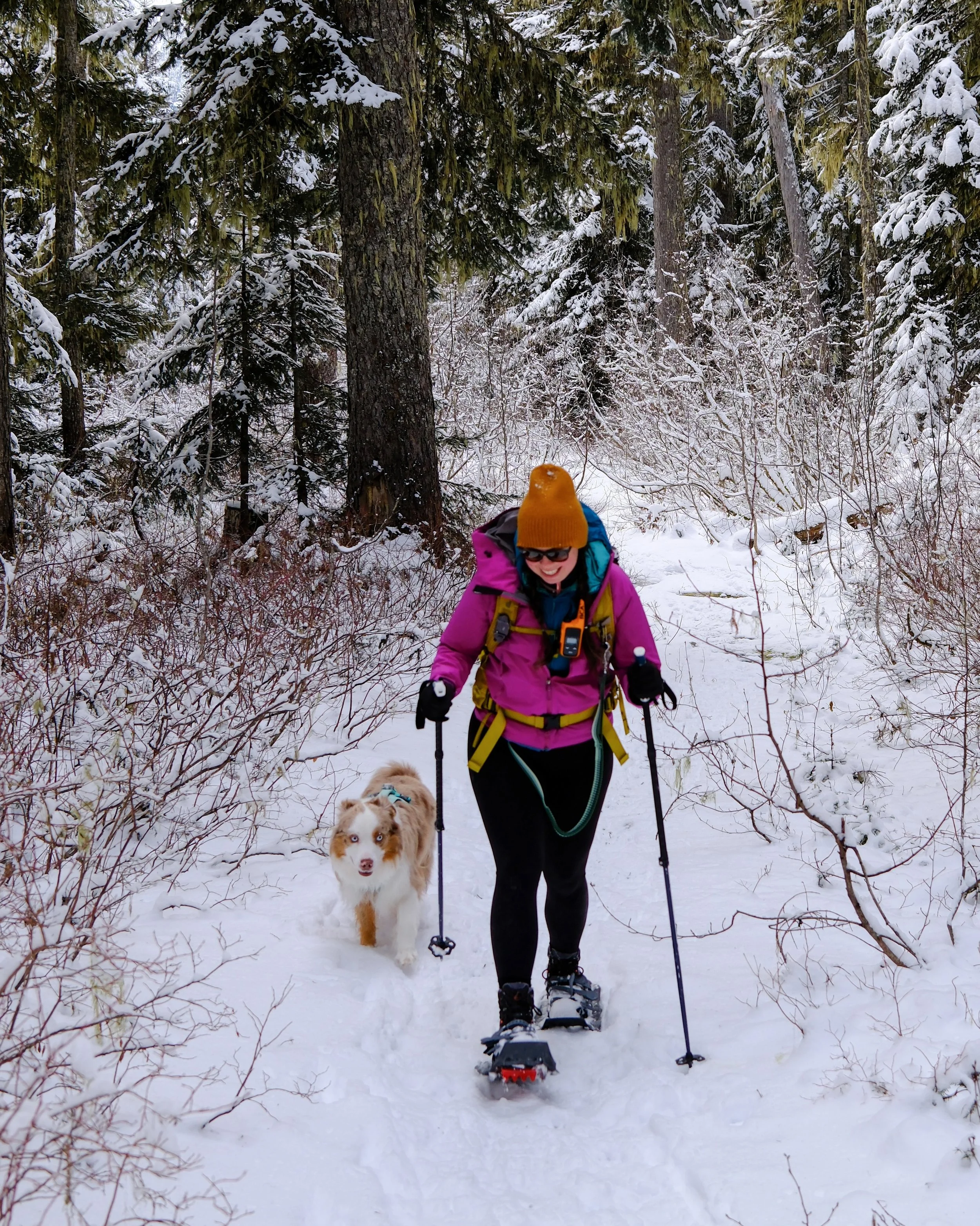 MSR - BCA - 168.jpeg