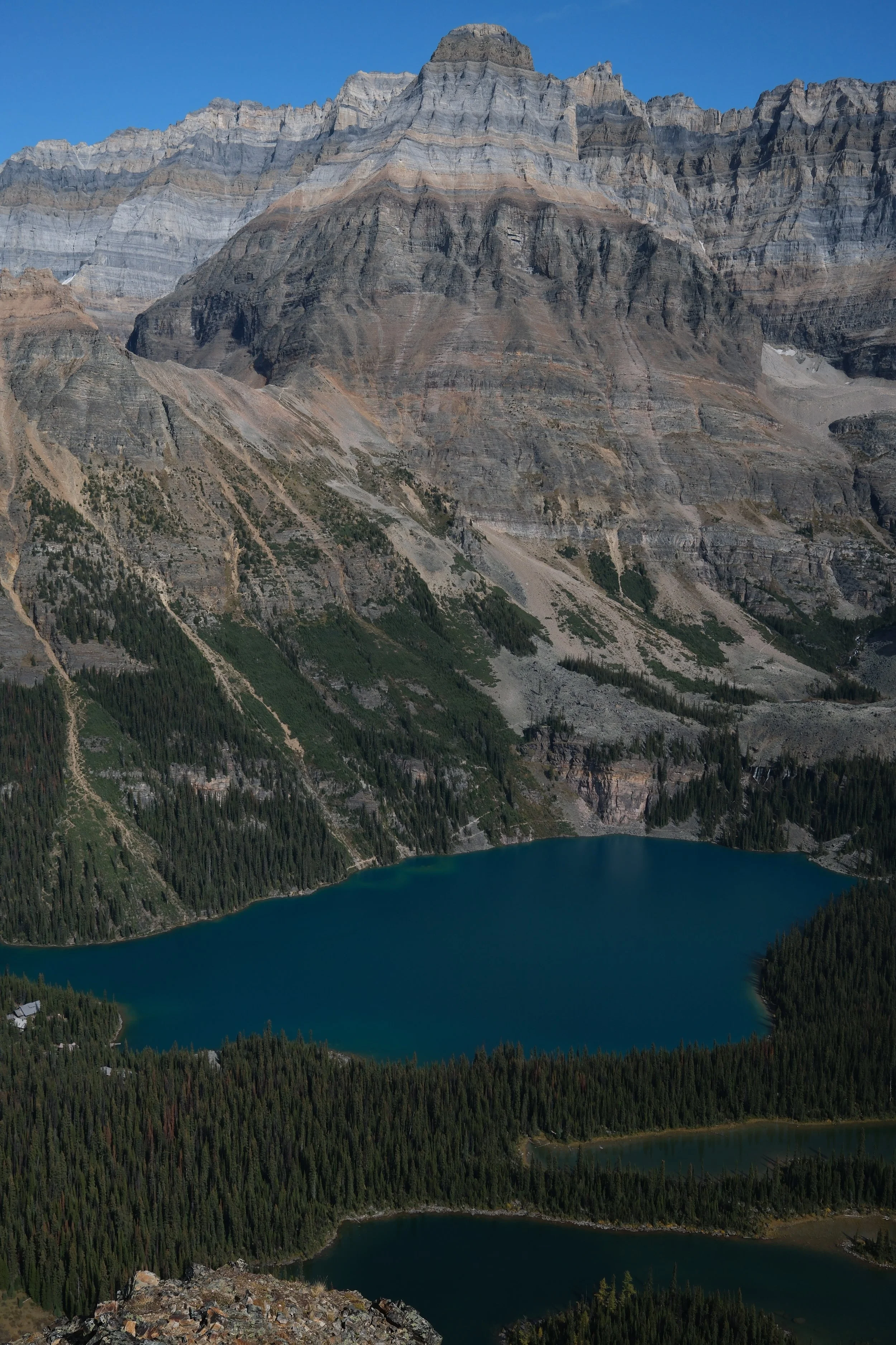 O'Hara 2025 - 636.jpeg