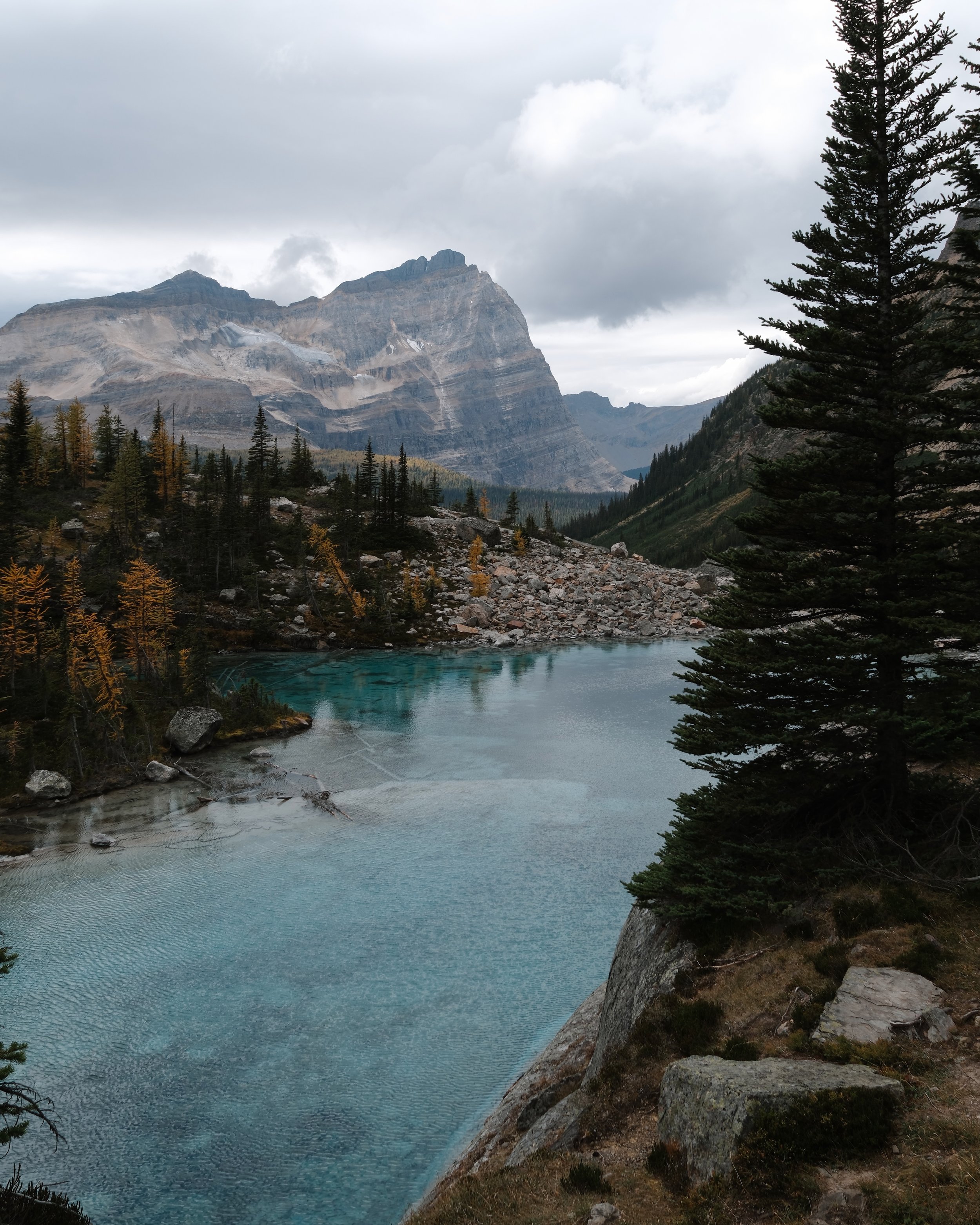 O'Hara 2025 - 146.jpeg