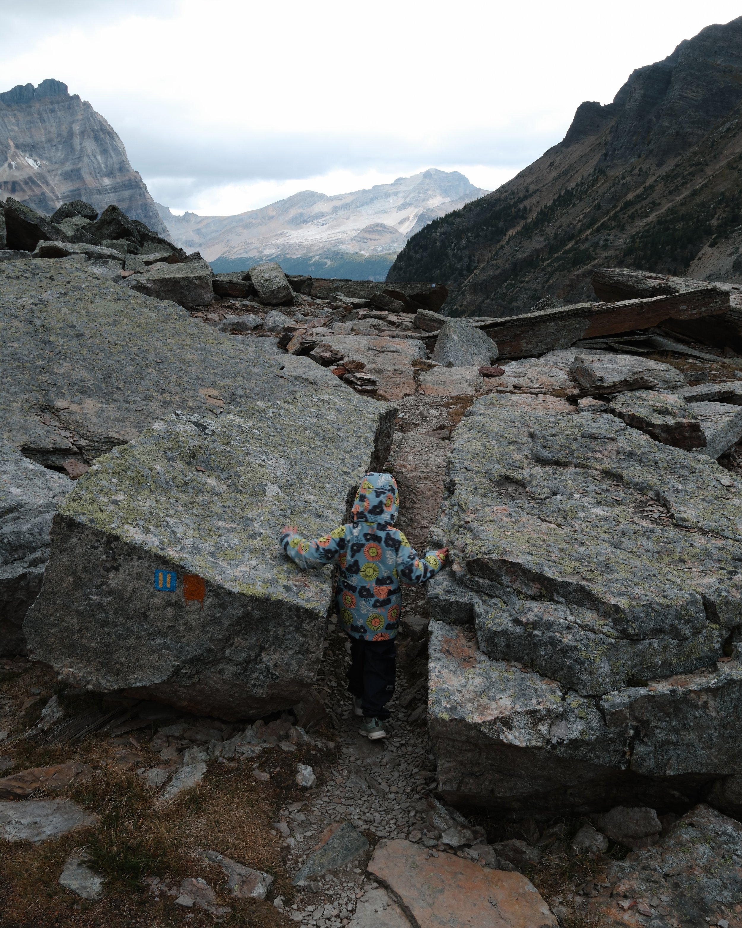 O'Hara 2025 - 292.jpeg