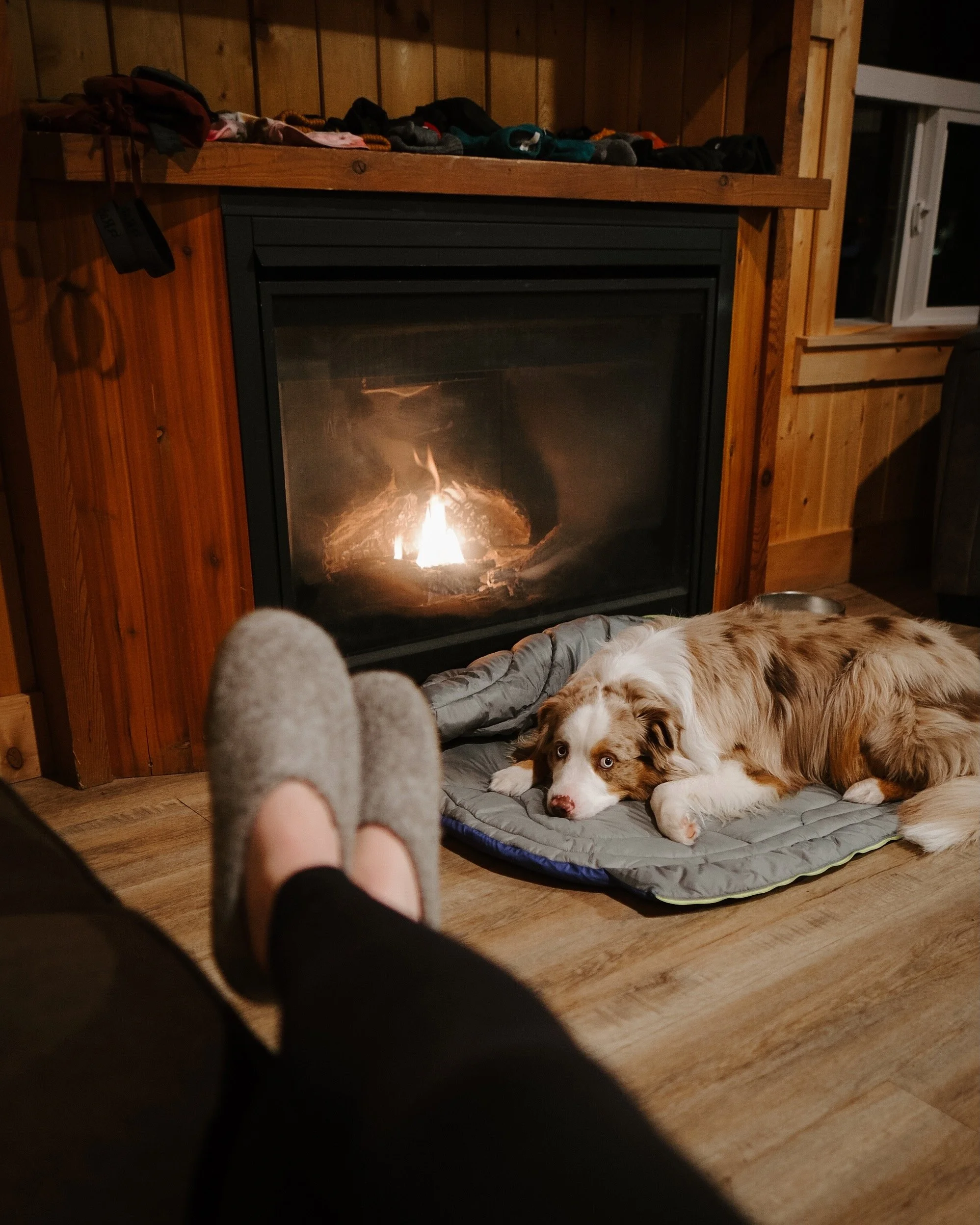 2025 - JAN - 504.jpeg