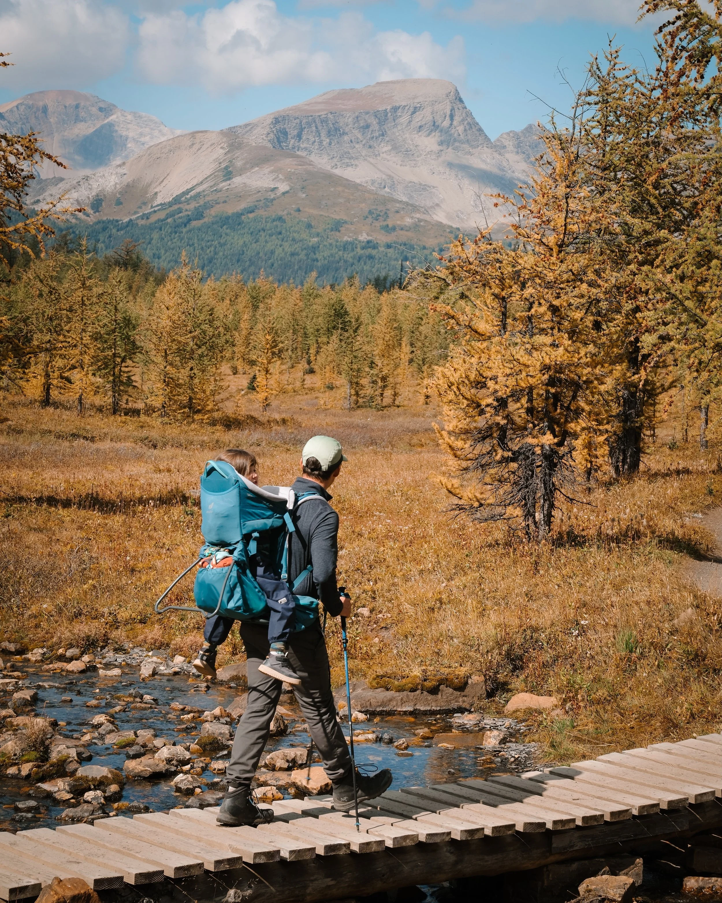 Mount Assiniboine - 921.jpeg