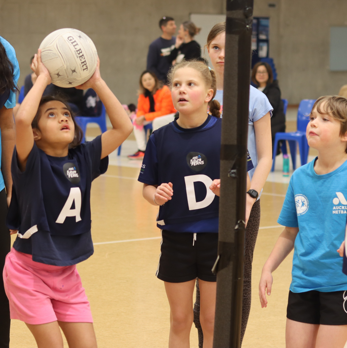 No Limits Netball