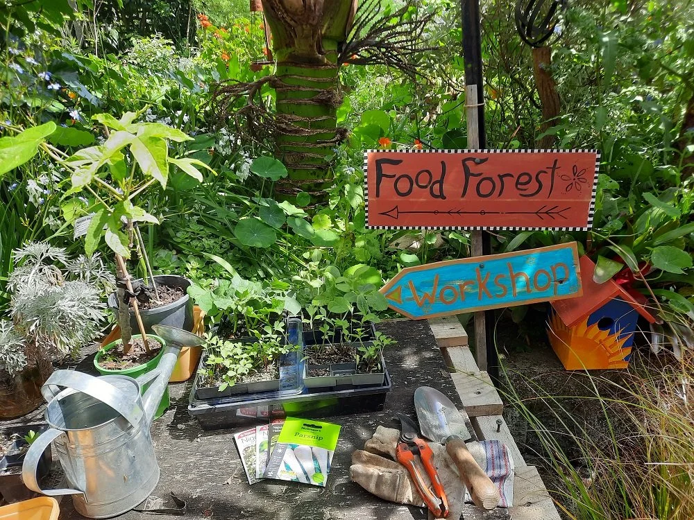 Design Your Own Food Forest – St Johns
