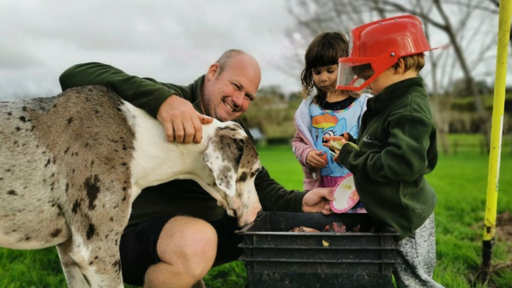 World of Tiger Worms for Kids – St Heliers 