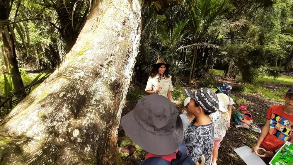 Junior Ranger Explorer – Dingle Dell