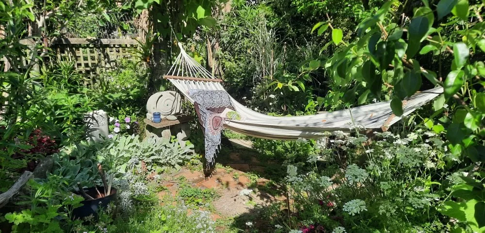 St Johns Food Forest Tour