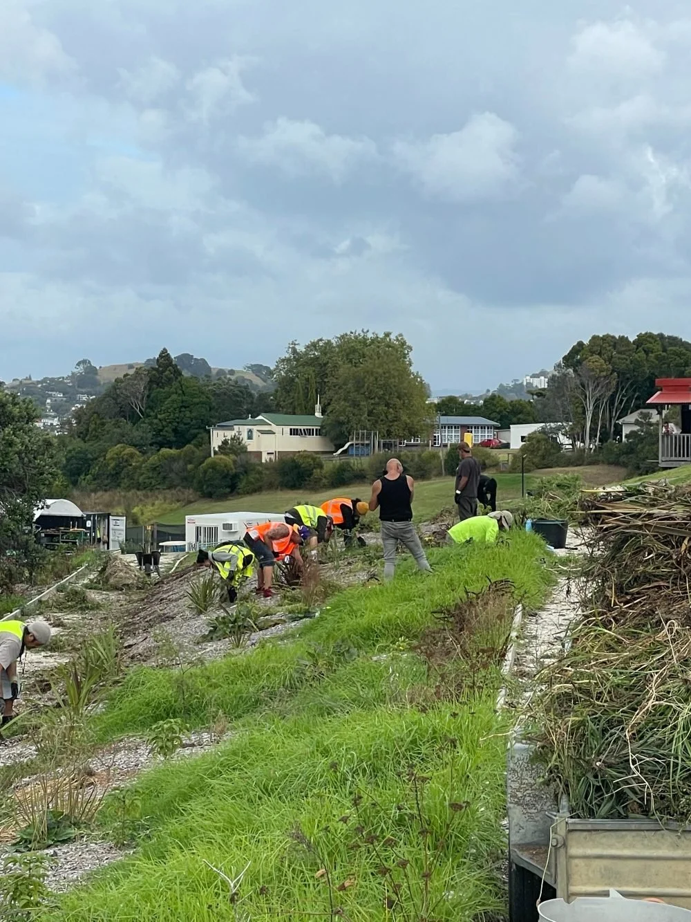 Māra Rongoā Weeding Day