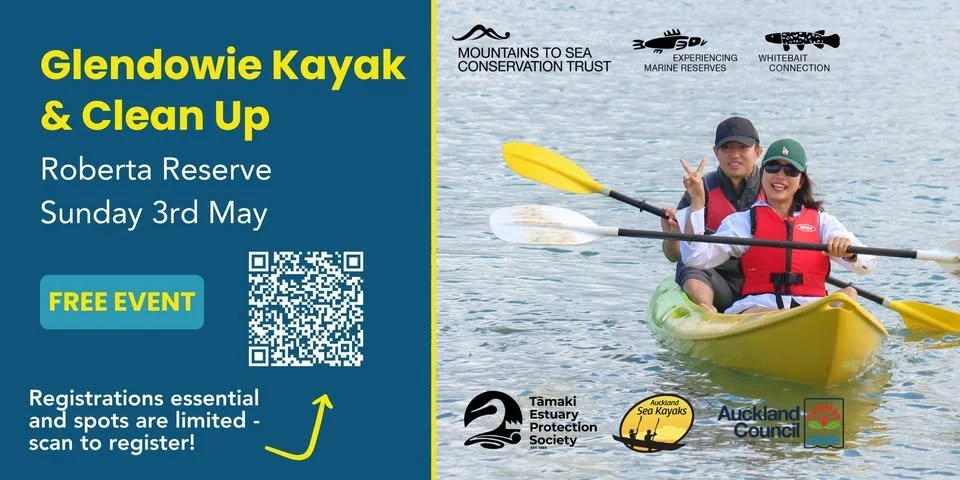 Glendowie Kayak and Clean Up