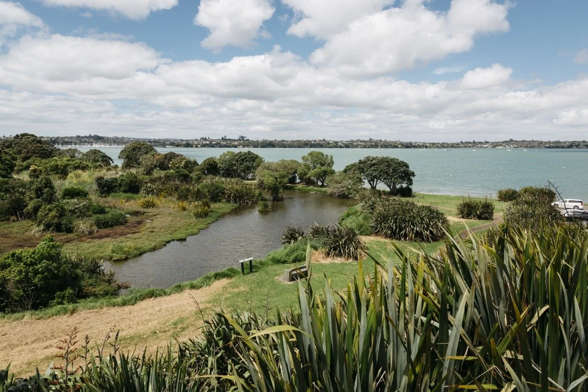 Ranger guided walk- Tahuna Torea nature reserve
