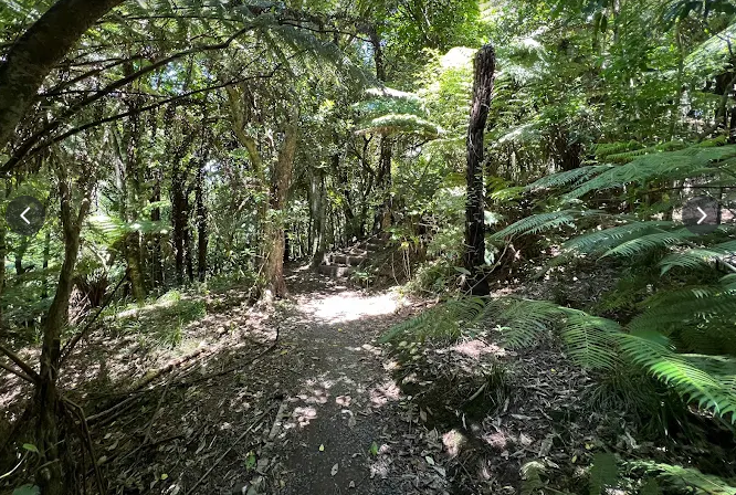 Connecting People With Parks: Kepa Bush