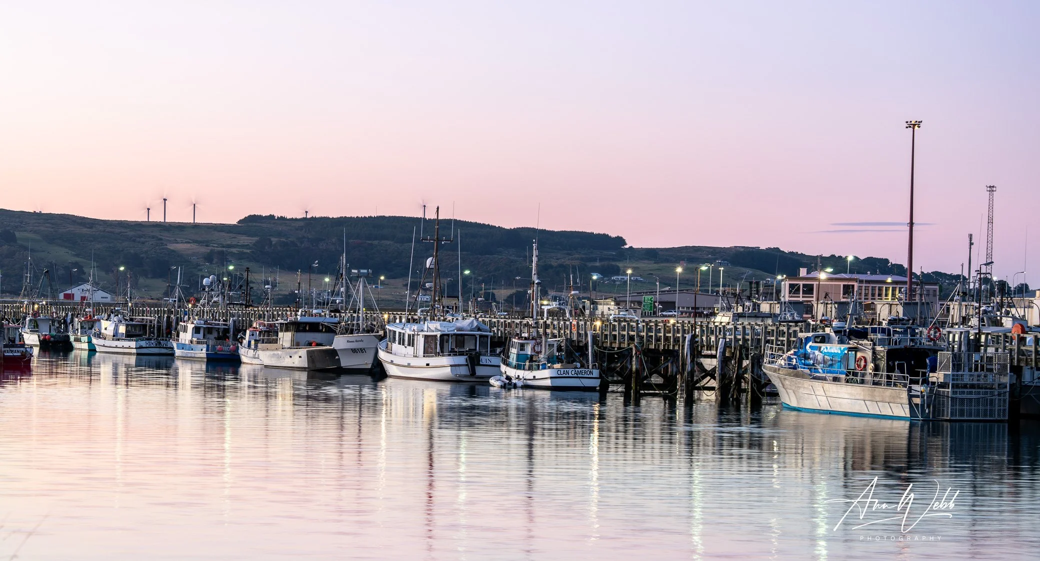 Fishing Boats in Bluff Harbour