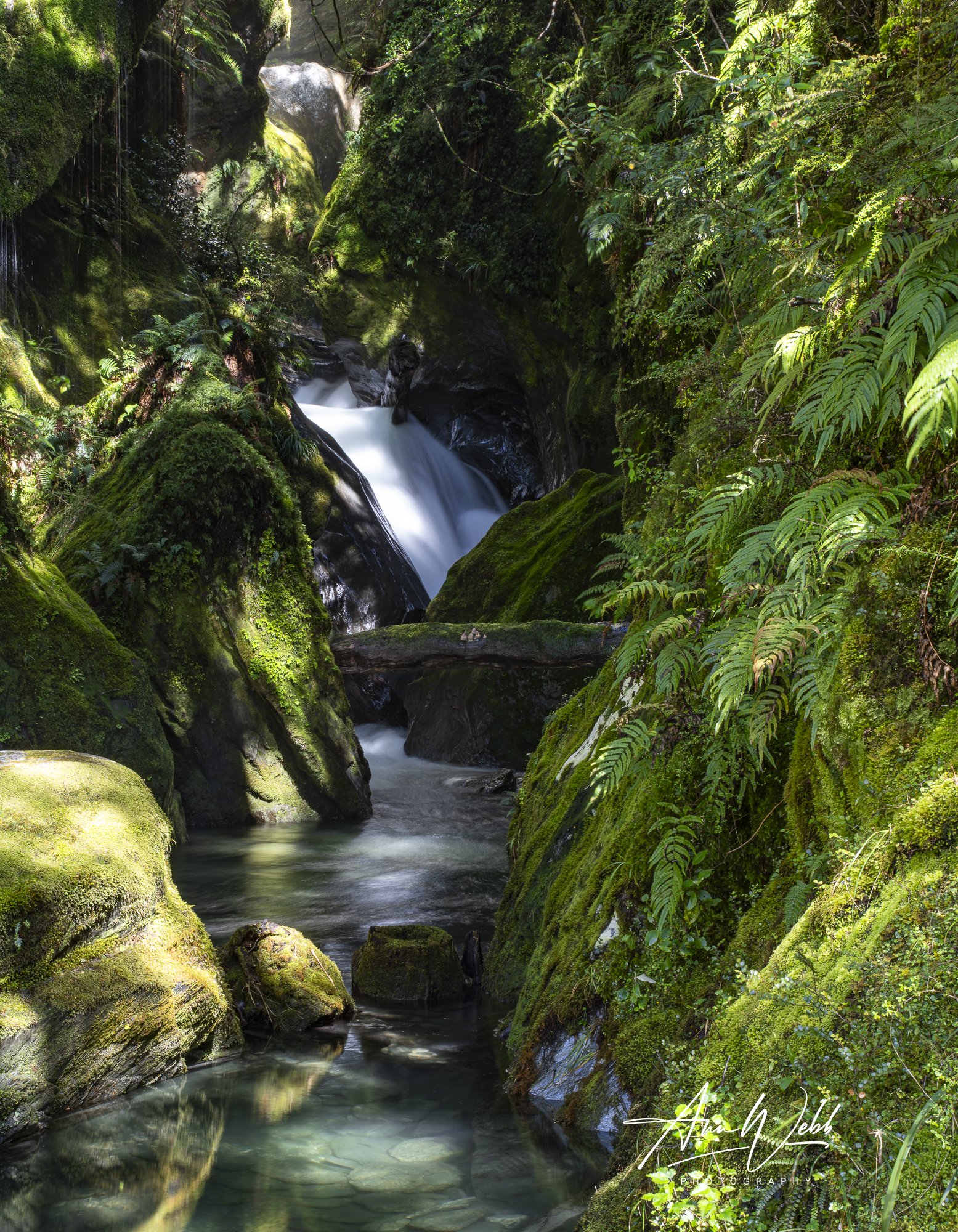Robinson Creek. Haast.jpg