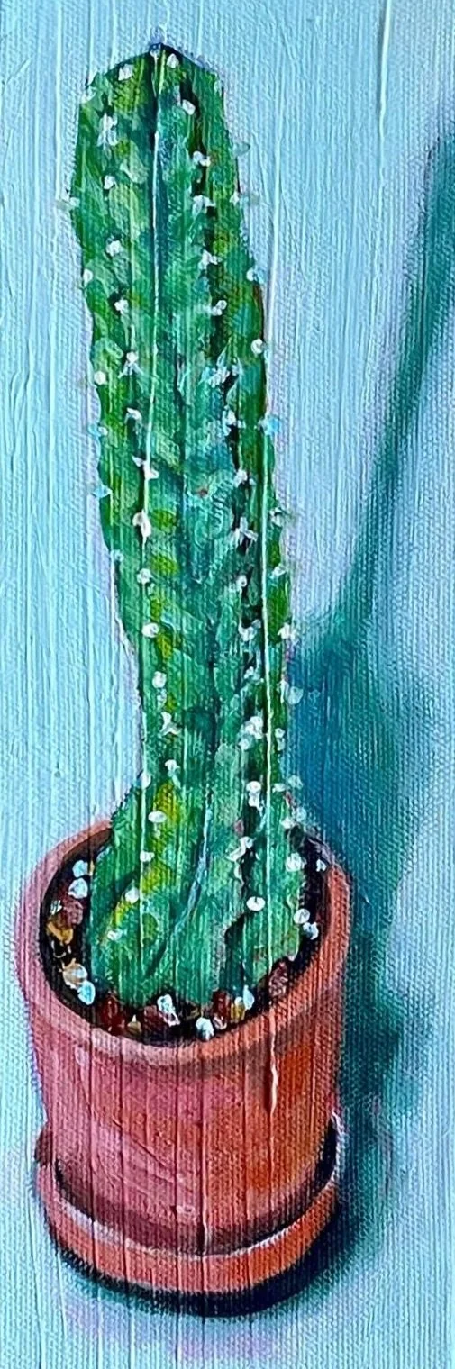 Cactus.jpg