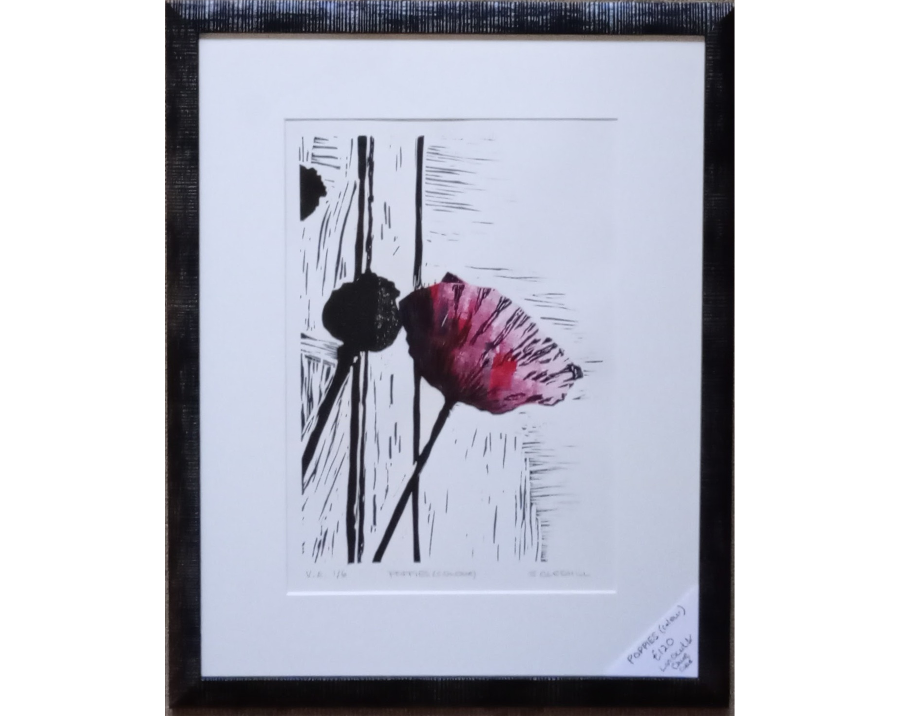 Poppies - colour.png