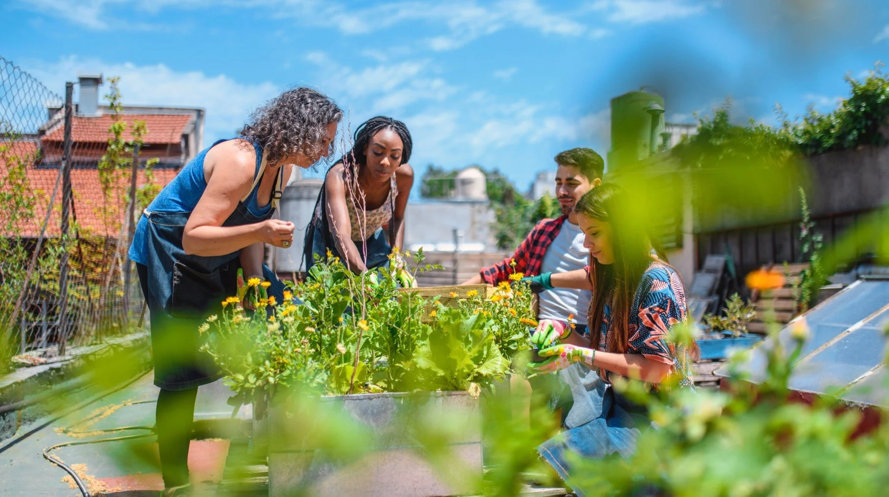Transforming City Spaces: The Art of Urban Gardening for Sustainable ...