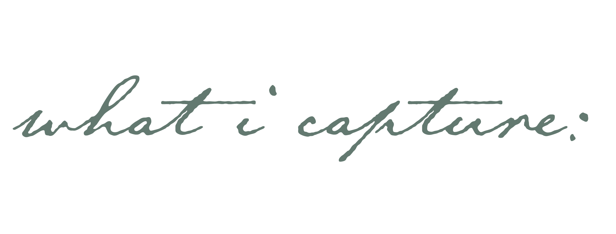 Text that says 'what i capture:' in printed font, with a cursive script underneath.
