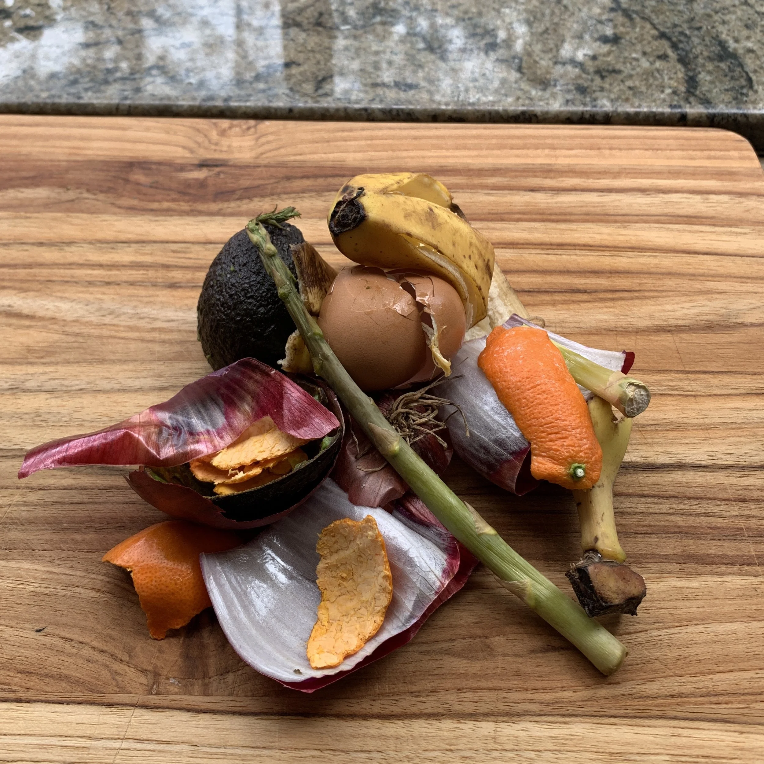 Still Life Reference for Deer Morgan Painting