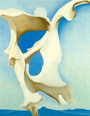 pelvis with the moon.jpeg